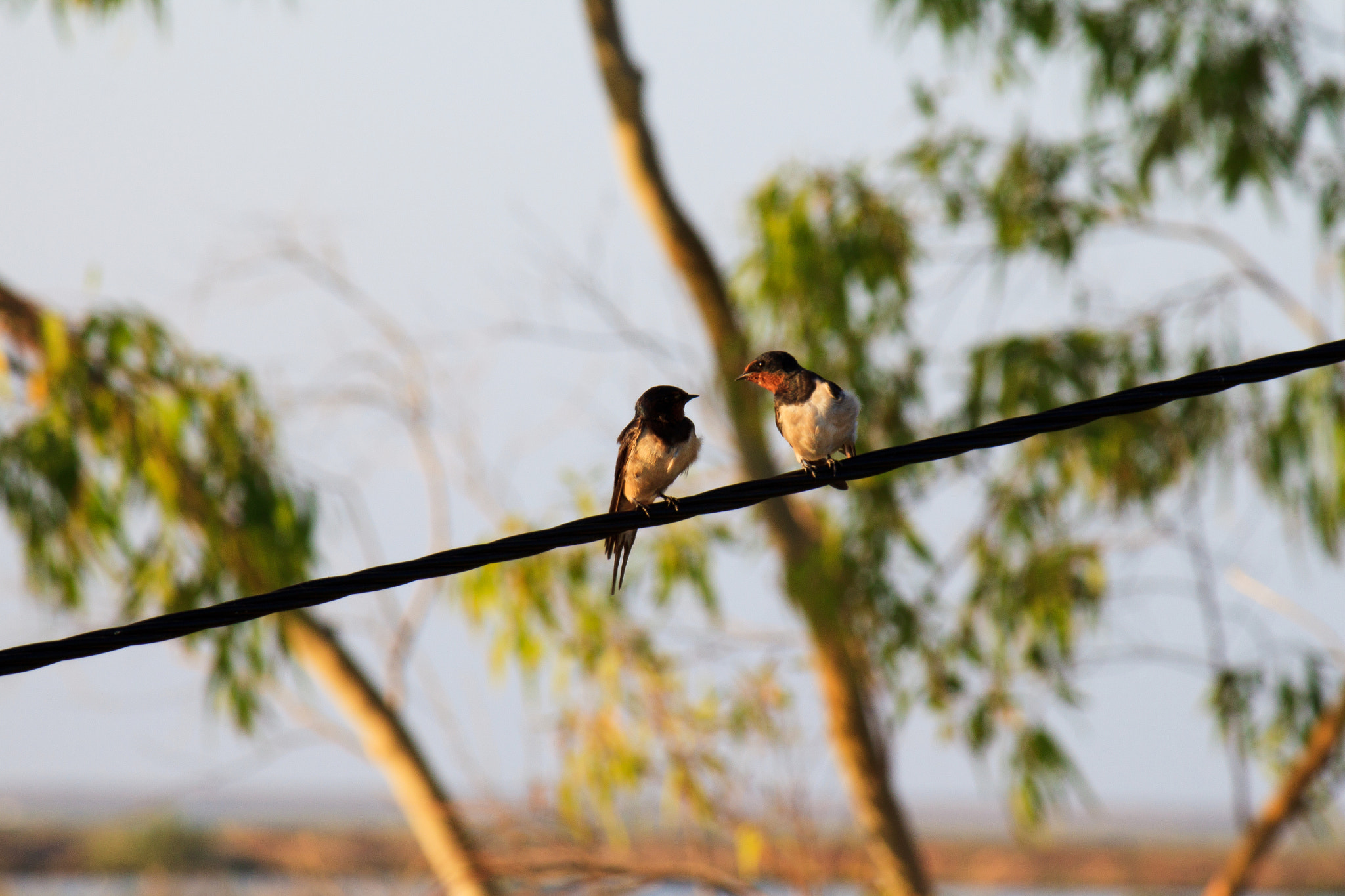 Canon EF-S 55-250mm F4-5.6 IS sample photo. Moments photography
