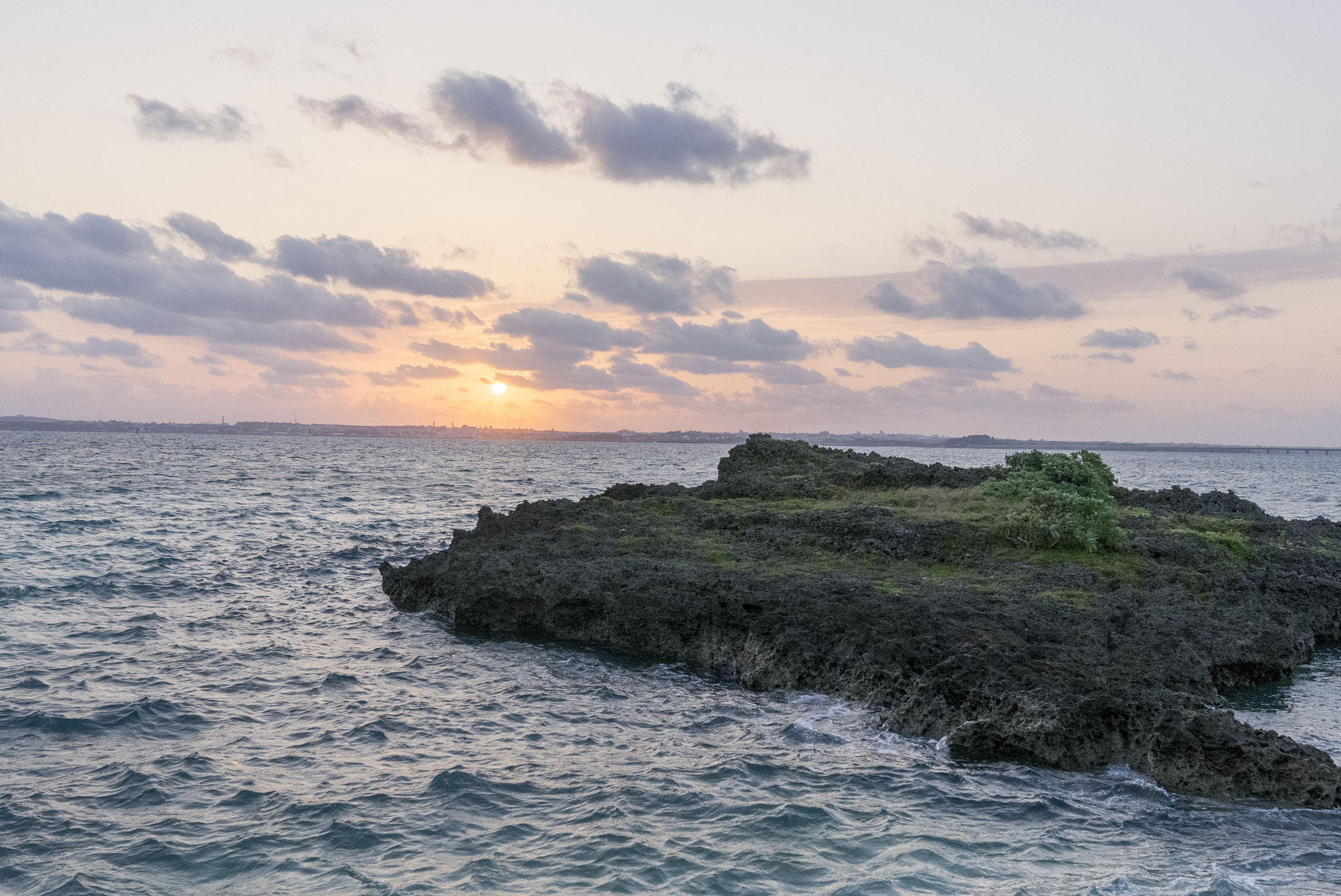 Sony a7 II + Sony FE 24-70mm F2.8 GM sample photo. Good morning photography