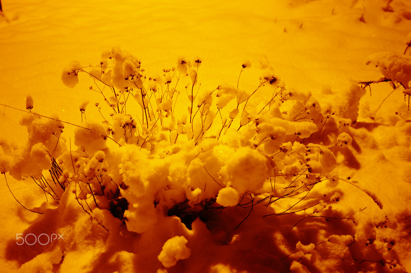 Canon EOS 5D Mark II sample photo. Snow day photography
