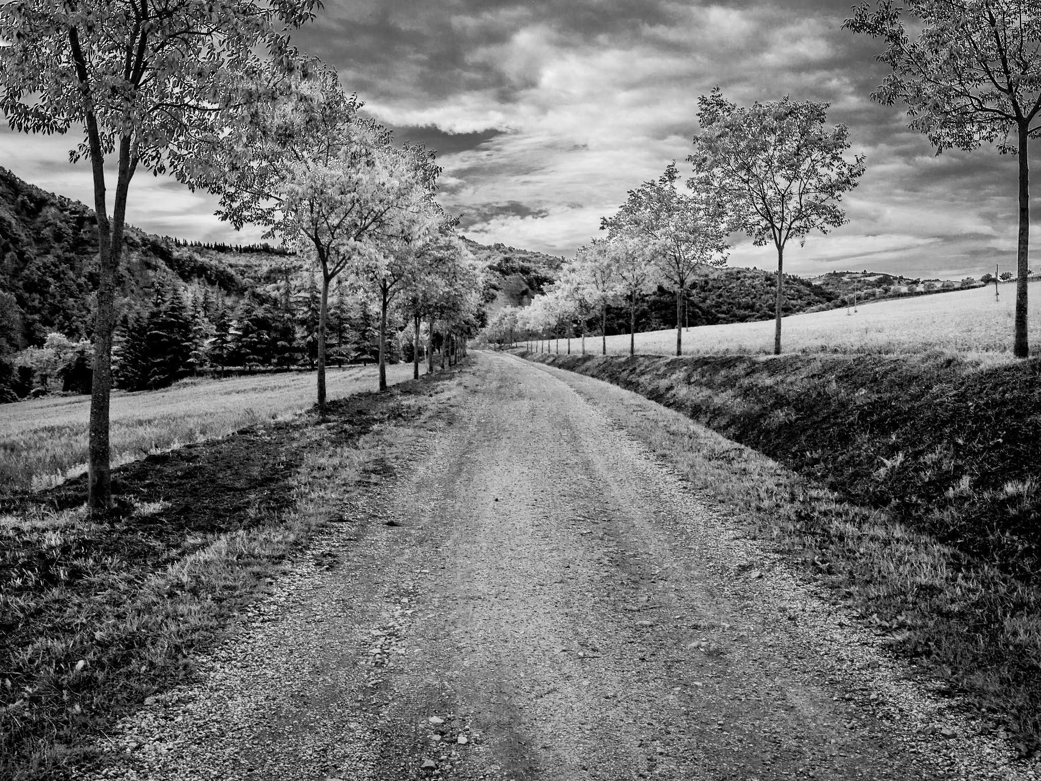 Panasonic Lumix DMC-G6 sample photo. The road near samoggia photography
