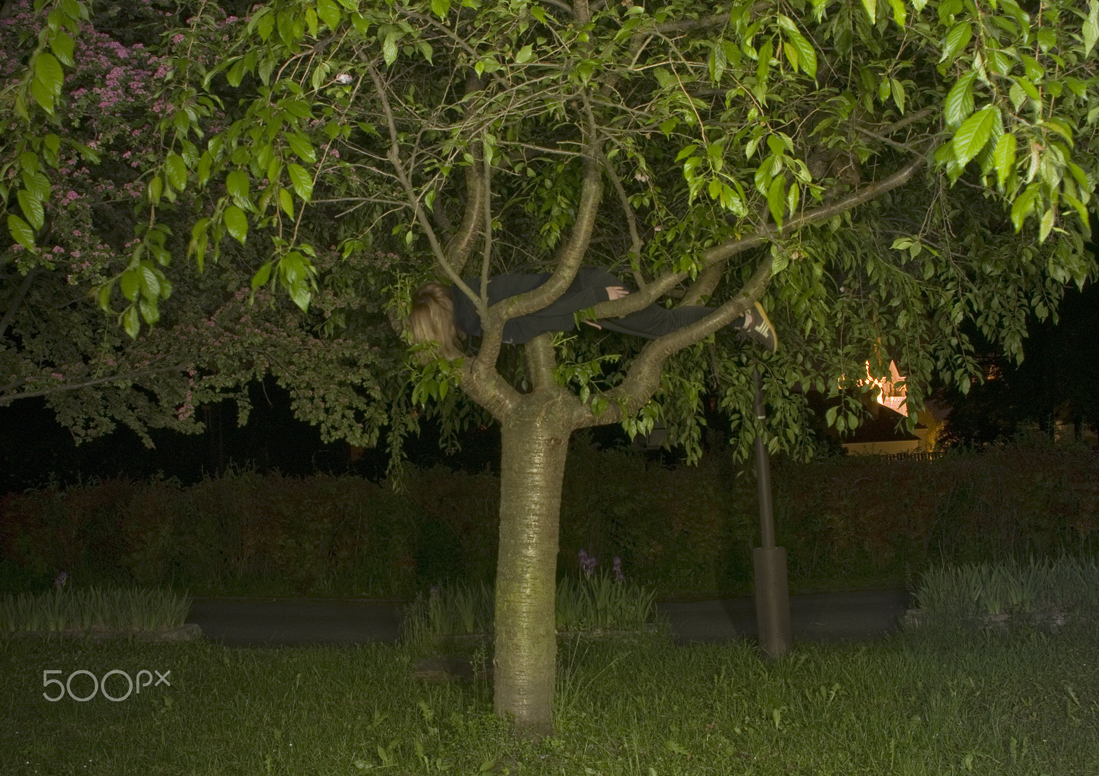 smc PENTAX-DA L 18-55mm F3.5-5.6 sample photo. May adél planking photography