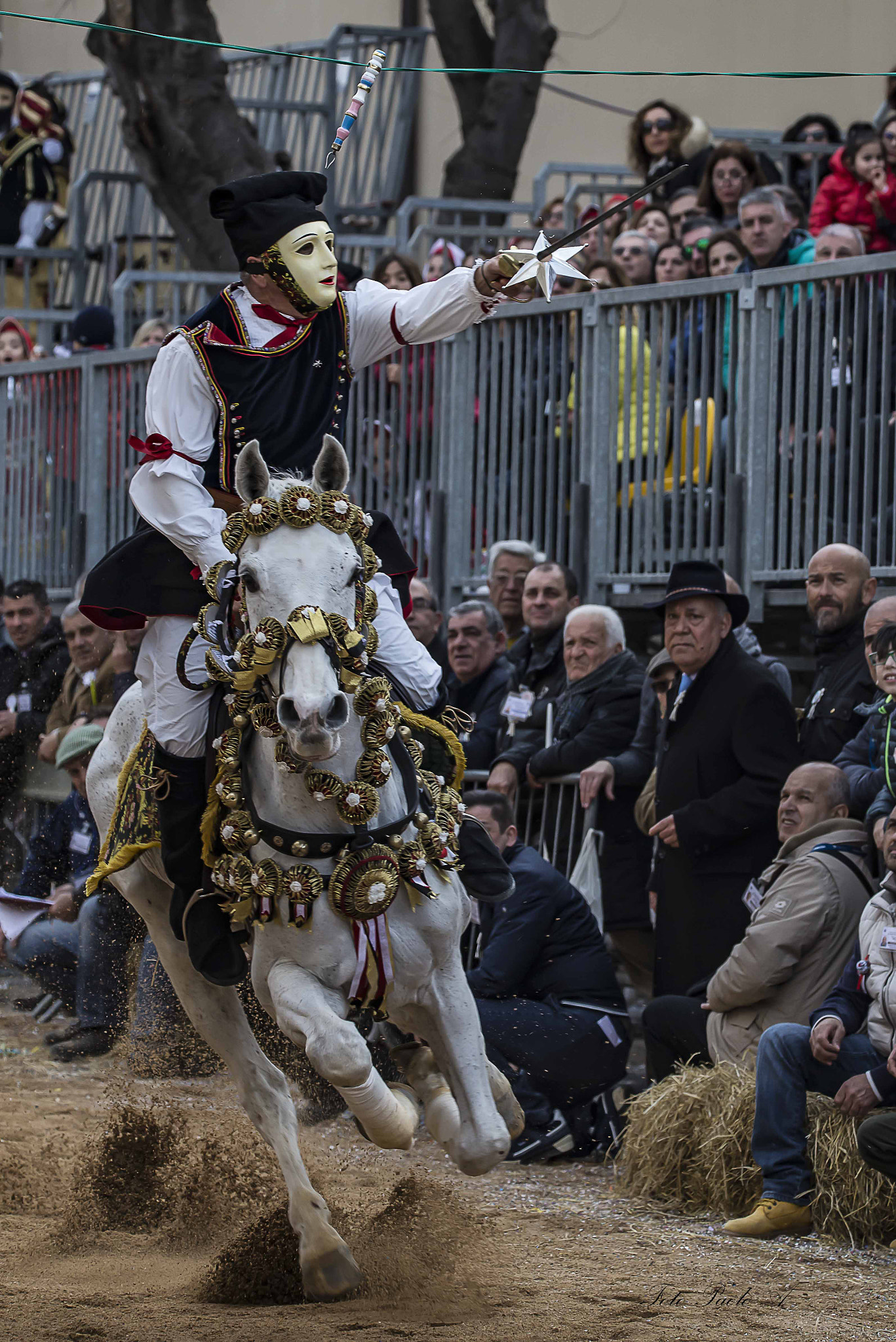 Sigma 150-600mm F5-6.3 DG OS HSM | C sample photo. The sartiglia photography