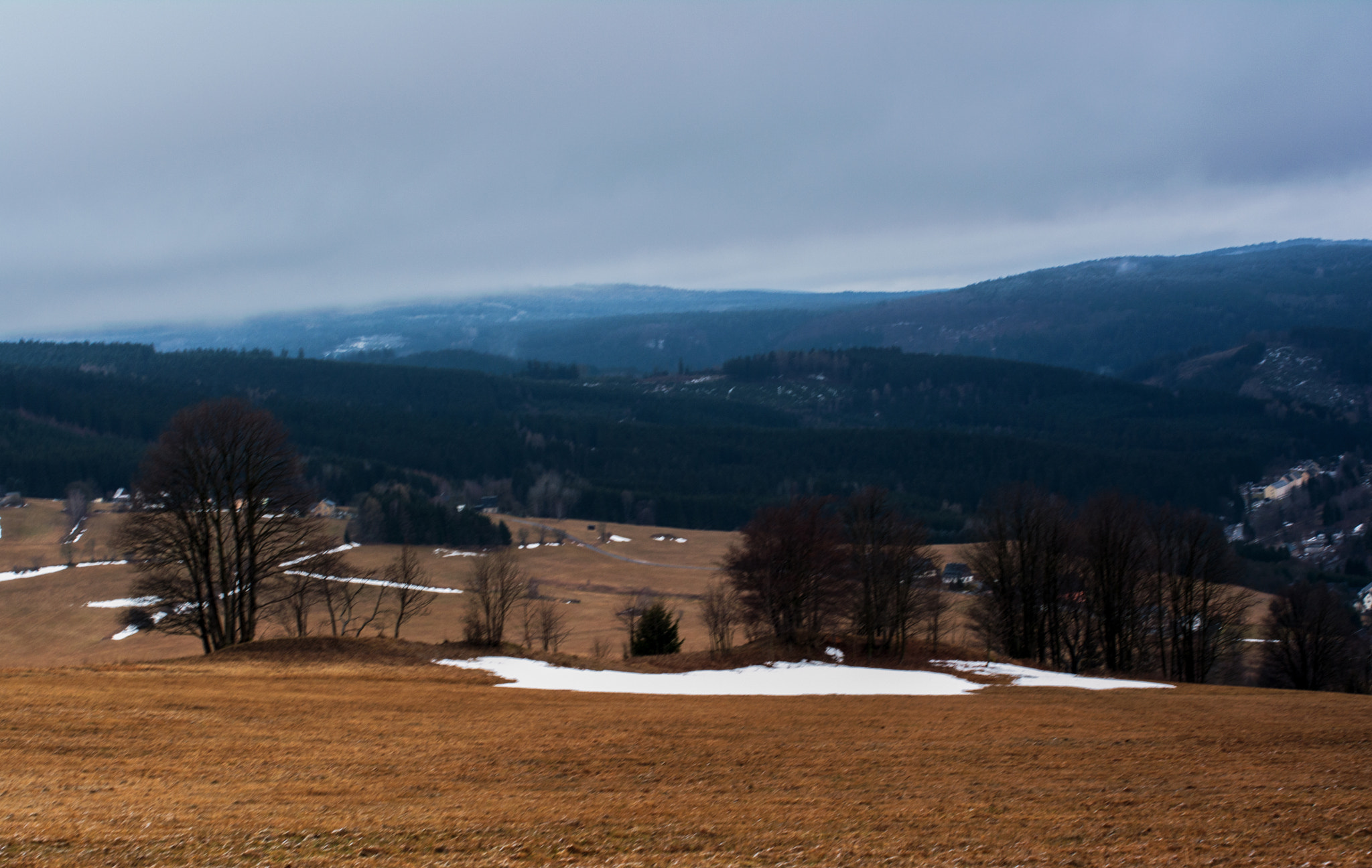 Nikon D5200 + Nikon AF-S Nikkor 50mm F1.4G sample photo. Blue and brown photography