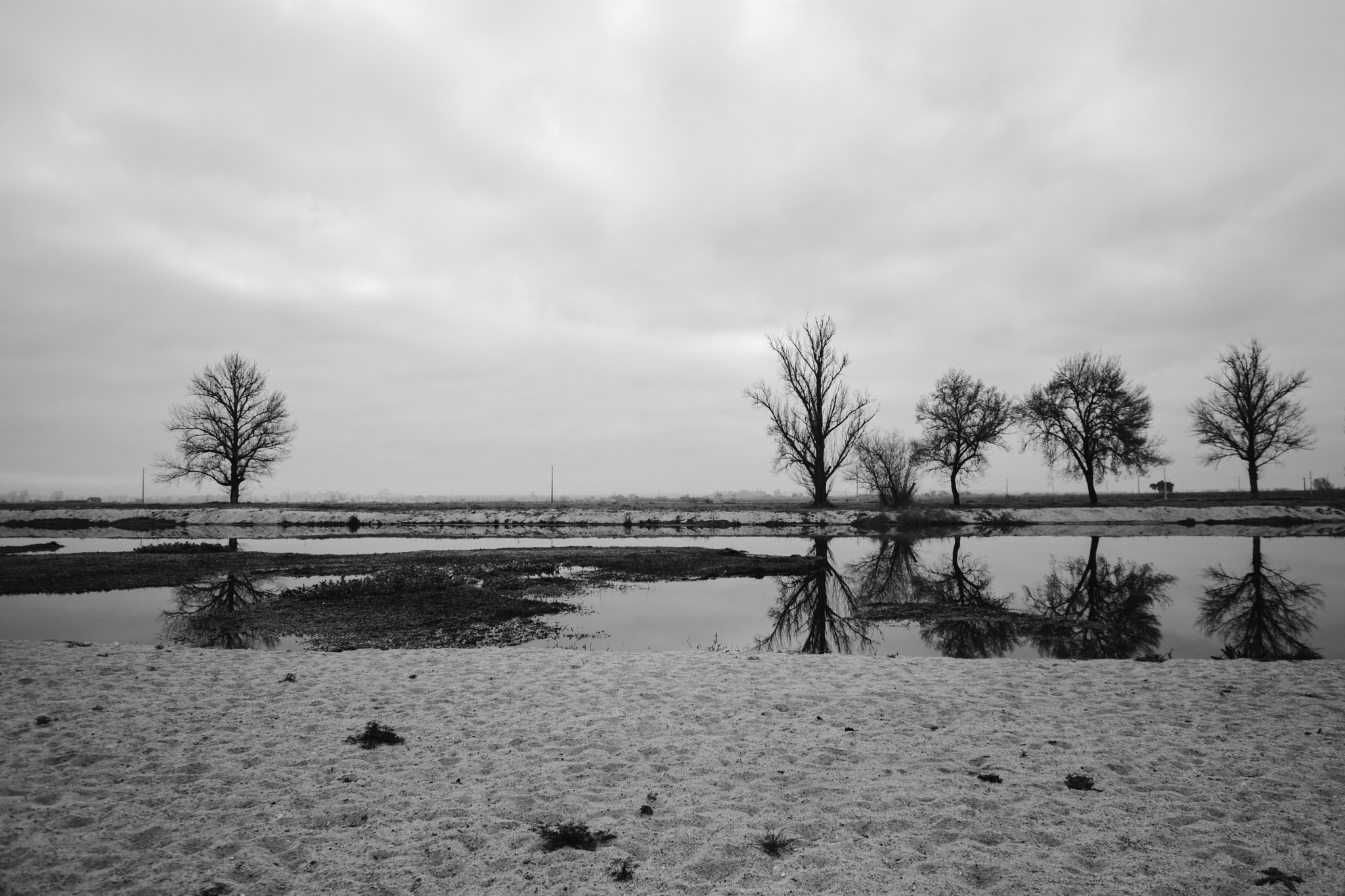 Sigma 10-20mm F3.5 EX DC HSM sample photo. The sadness photography