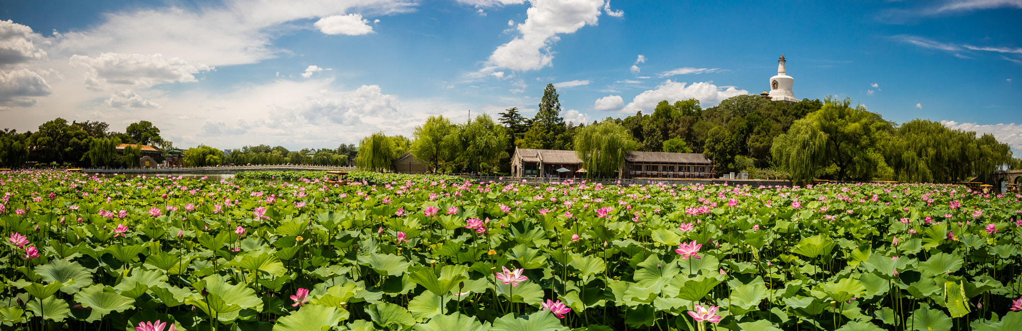 Canon EF 16-35mm F2.8L II USM sample photo. Beihai park in beijing photography
