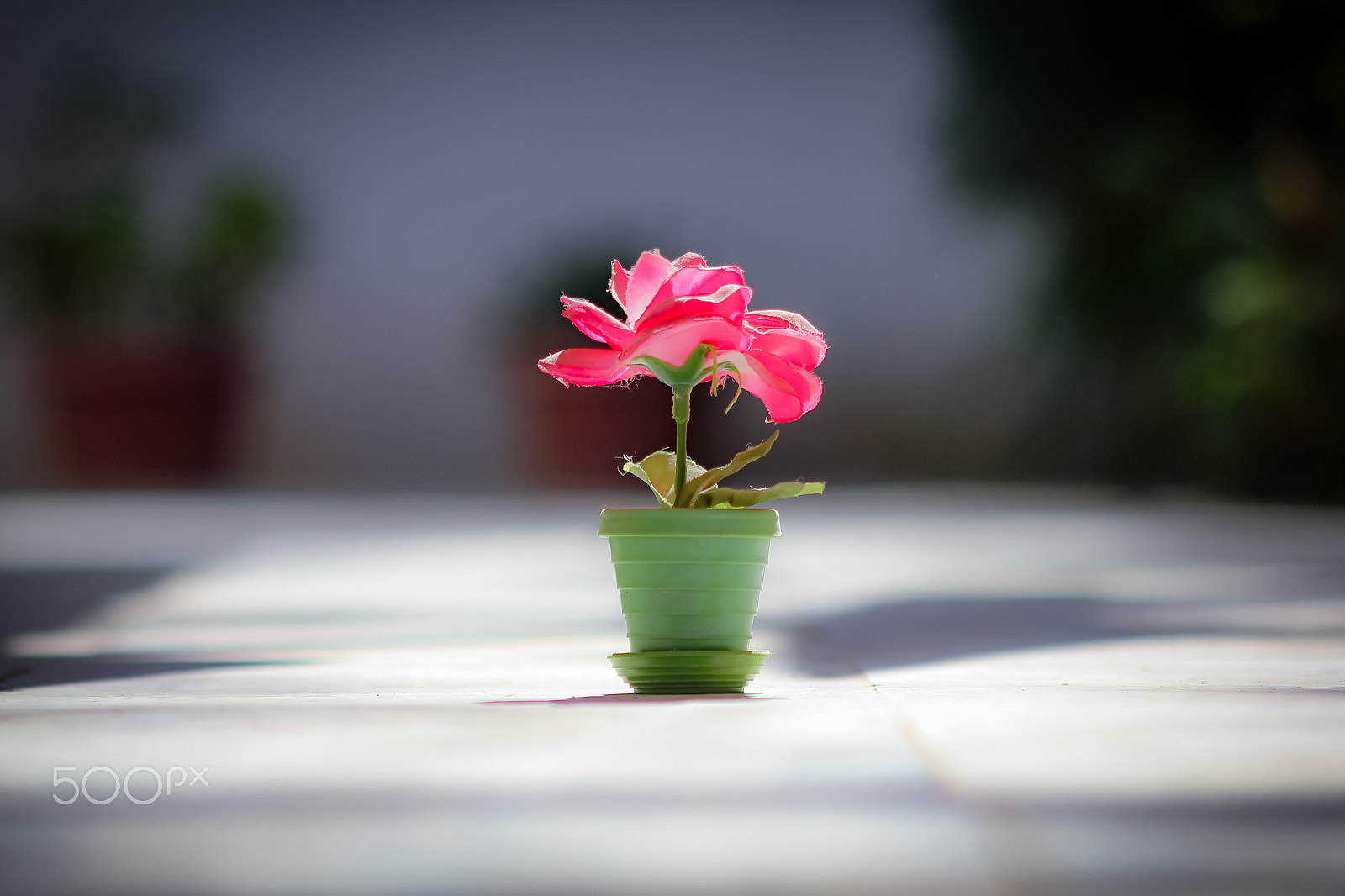 Canon EOS 550D (EOS Rebel T2i / EOS Kiss X4) + EF75-300mm f/4-5.6 sample photo. Fake rose , still beautiful photography