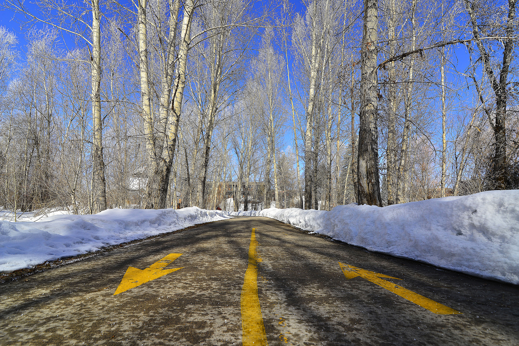 Nikon D800 + Tokina AT-X 16-28mm F2.8 Pro FX sample photo. Snowy colorado hiking path. photography