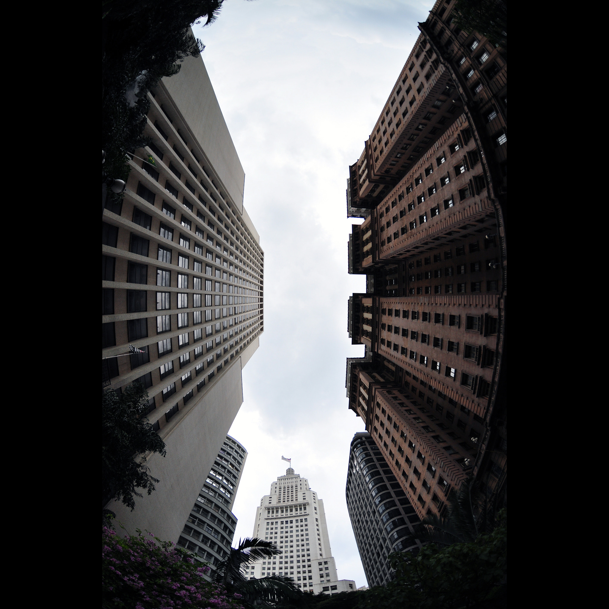 Nikon AF DX Fisheye-Nikkor 10.5mm F2.8G ED sample photo. Flag photography