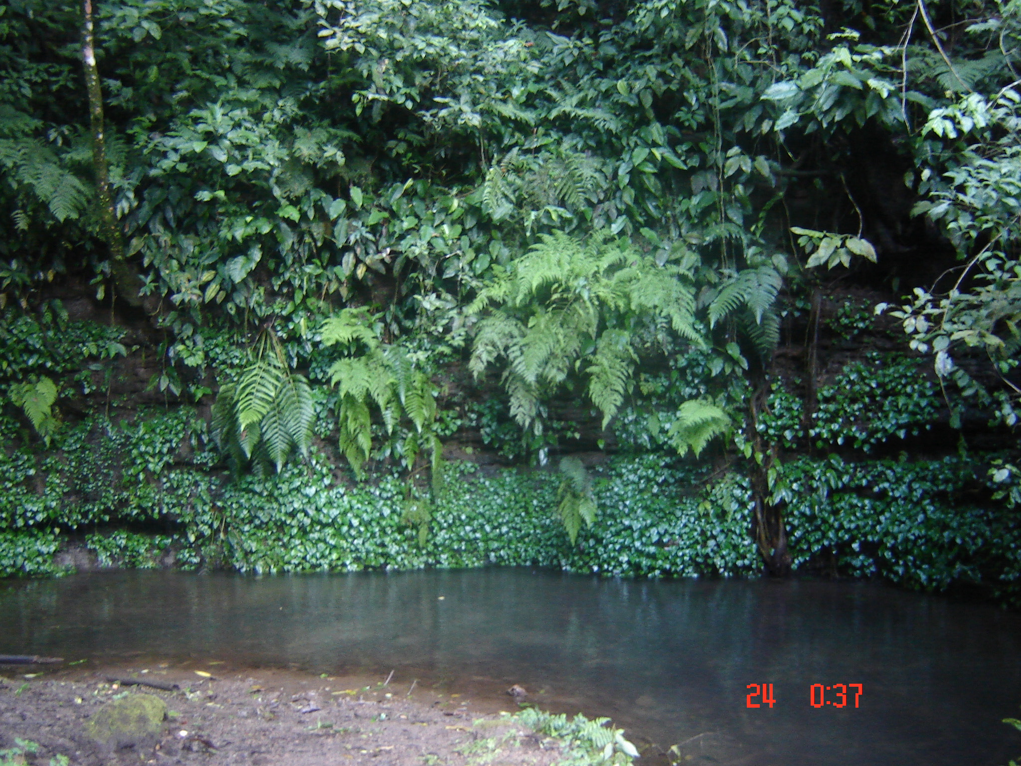 Sony DSC-S60 sample photo. Water spring in atzumpa, ataco, ahuachapan photography