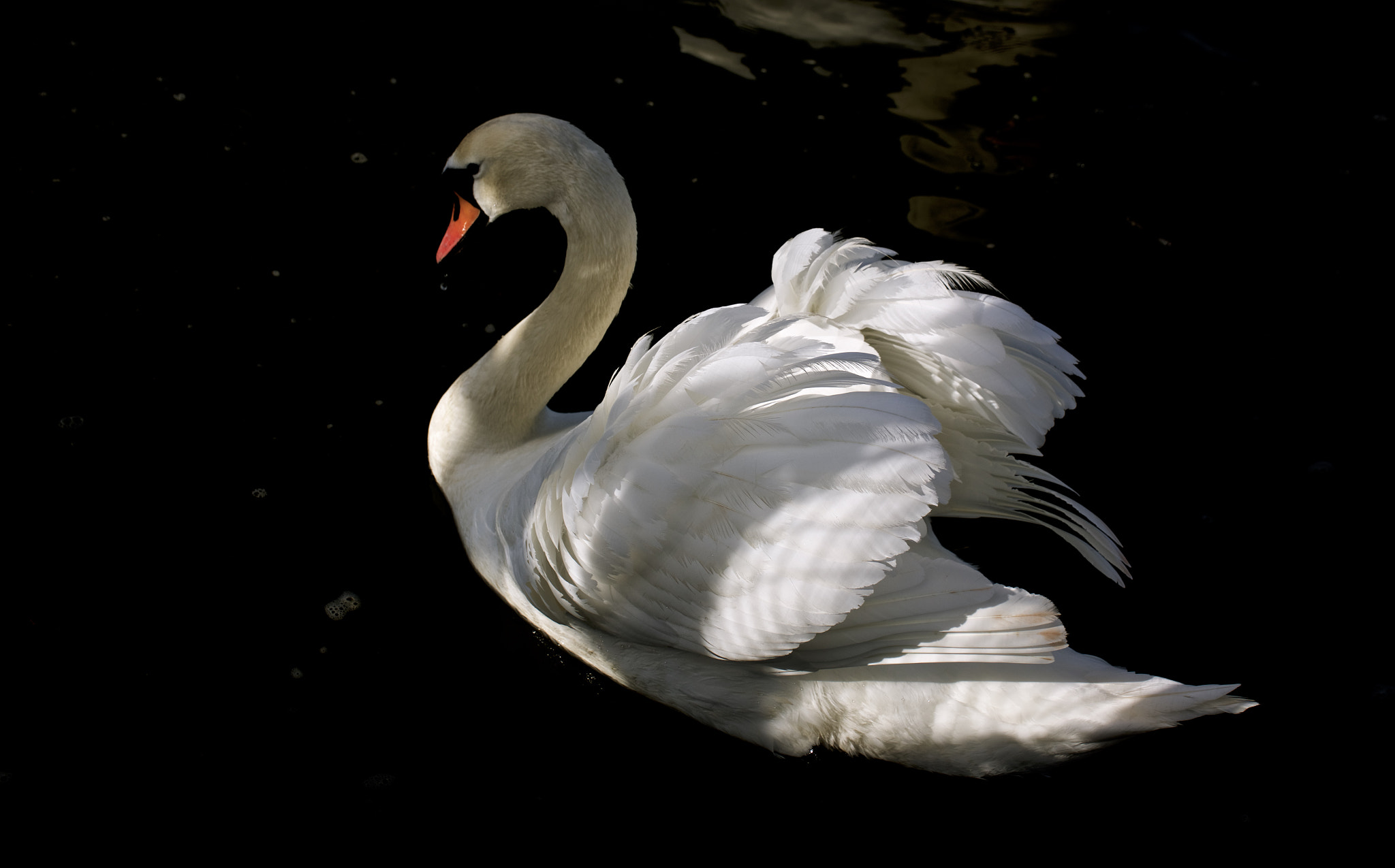 Tamron SP 35mm F1.8 Di VC USD sample photo. Img photography