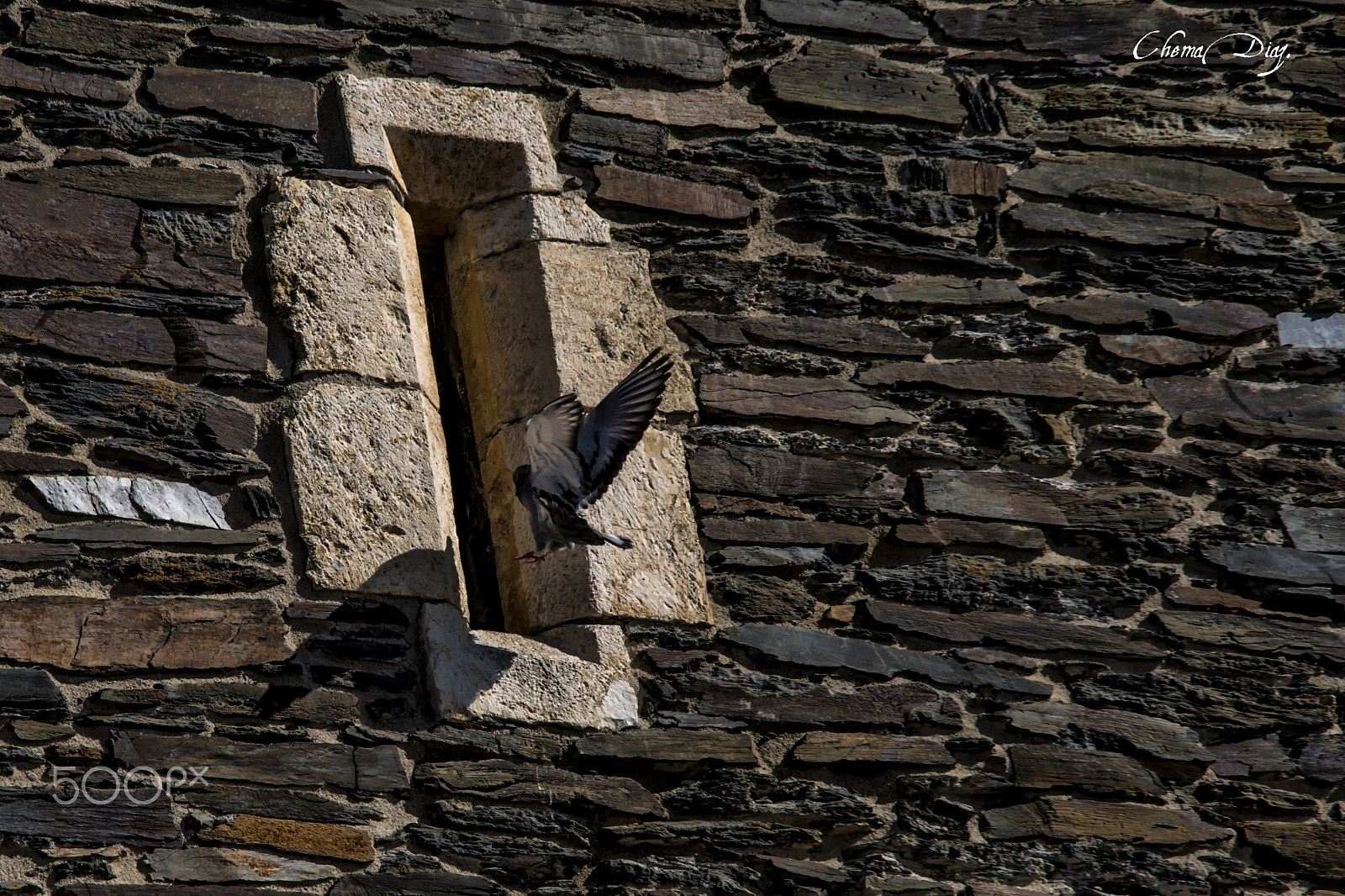 Sigma 70-200mm F2.8 EX DG Macro HSM II sample photo. Be careful that i go. photography