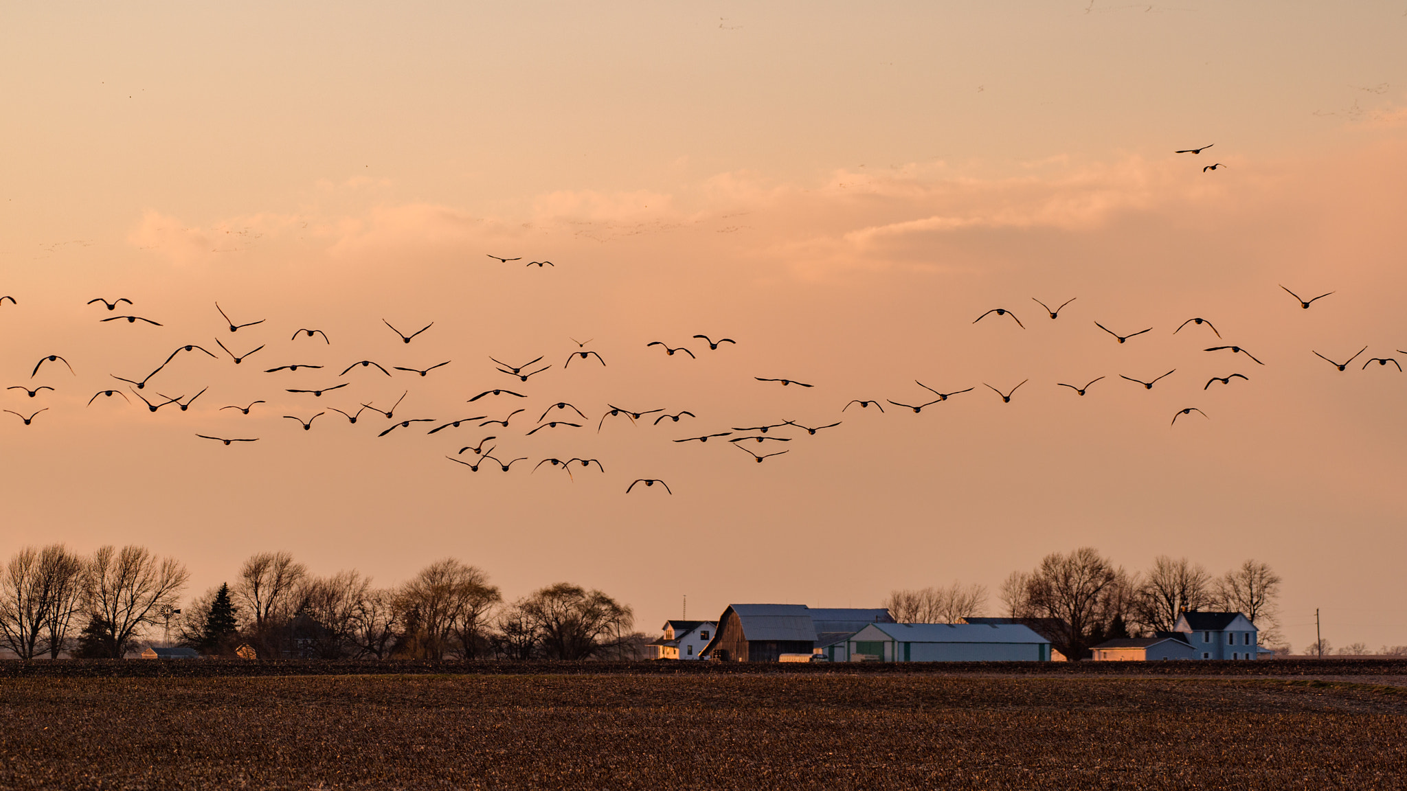 Nikon AF-S Nikkor 200-500mm F5.6E ED VR sample photo. Farmland photography
