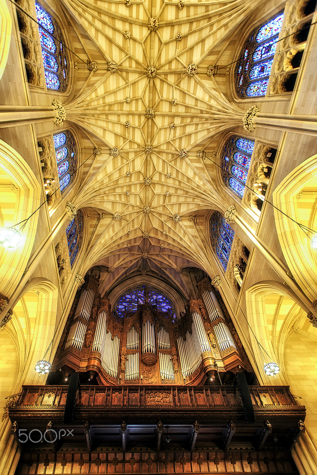 Nikon D610 + Tamron SP AF 17-35mm F2.8-4 Di LD Aspherical (IF) sample photo. The gallery organ of st patrick's photography