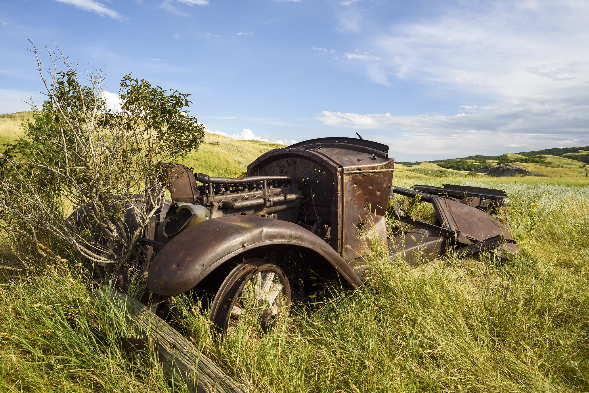 Nikon AF Nikkor 24mm F2.8D sample photo. Stopped in its tracks photography