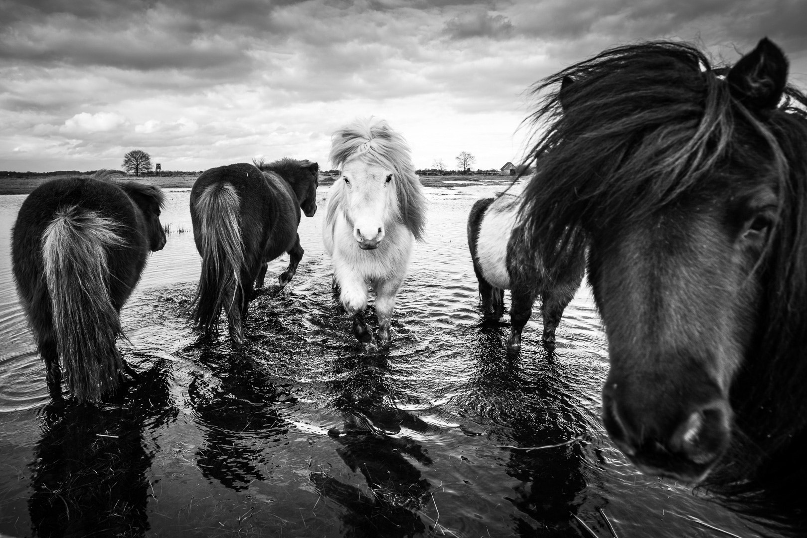 Canon EF 16-35mm F4L IS USM sample photo. Water ponys photography