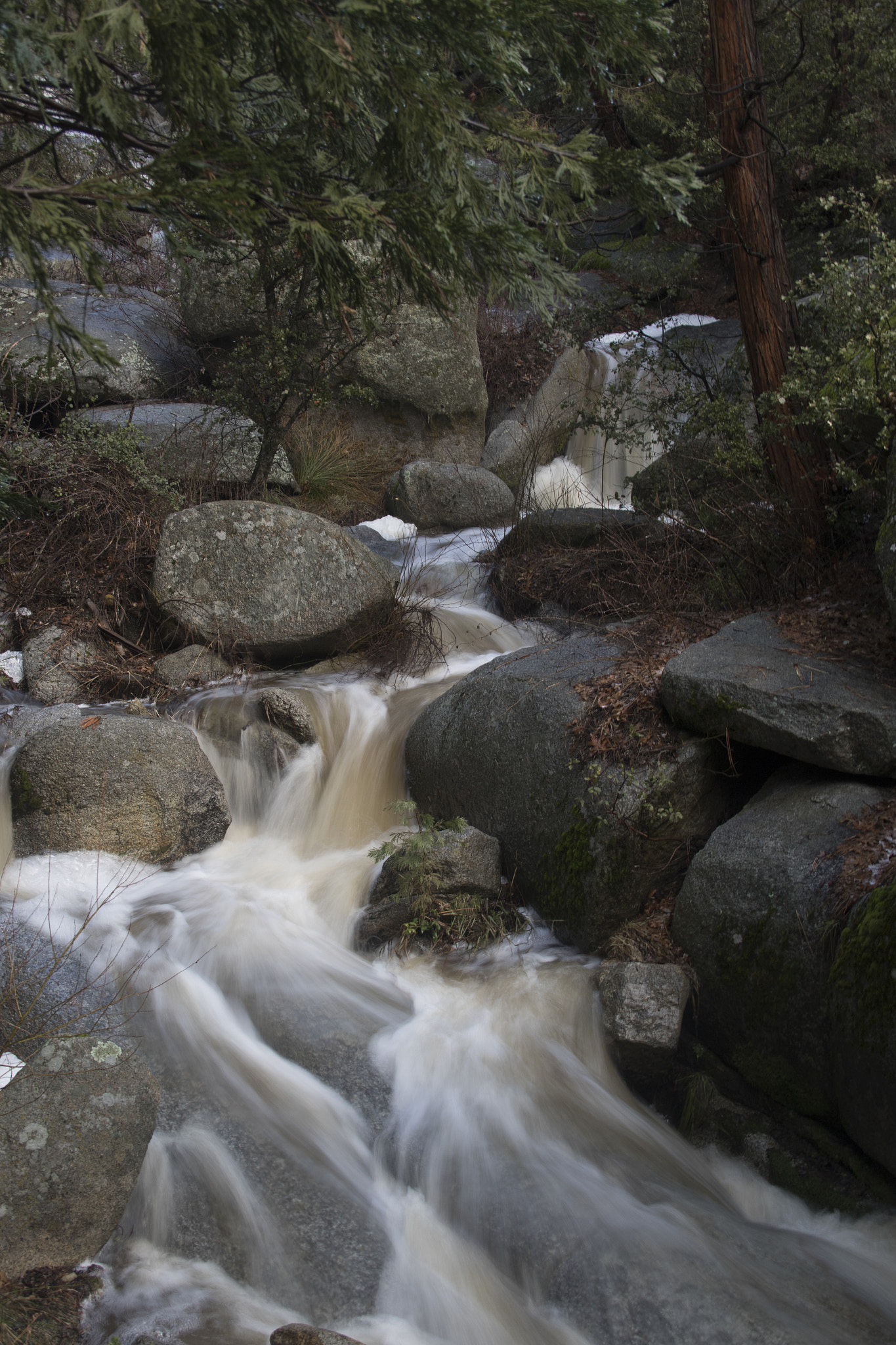 Canon EOS 7D Mark II + Canon EF-S 18-135mm F3.5-5.6 IS sample photo. Picture i recently took of a local stream after a storm. photography