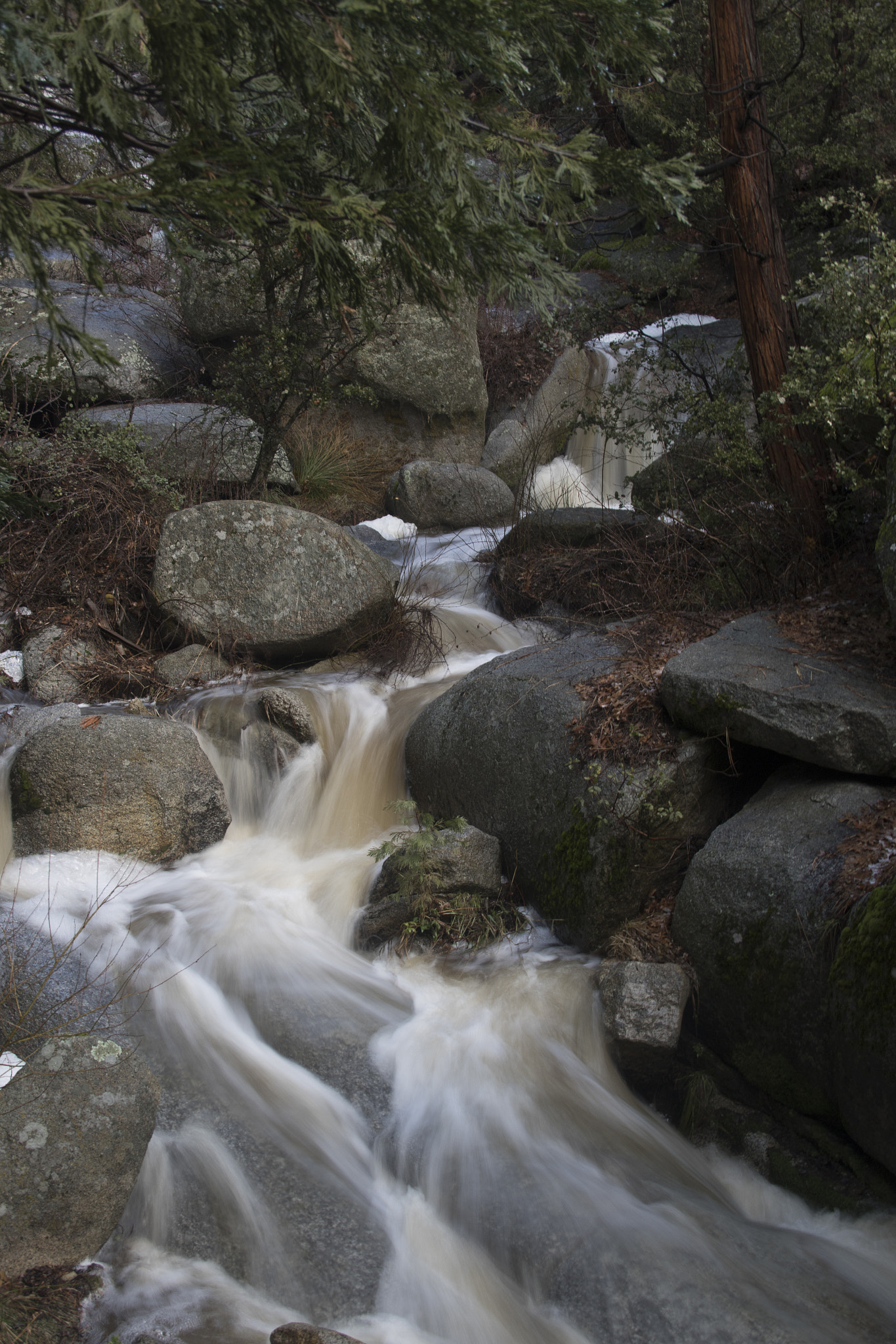 Canon EF-S 18-135mm F3.5-5.6 IS sample photo. Picture i recently took of a local stream after a storm. photography