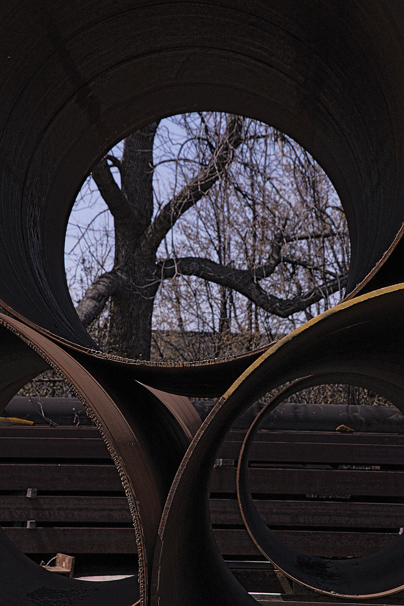 Sony DT 18-135mm F3.5-5.6 SAM sample photo. Canadiansteel photography