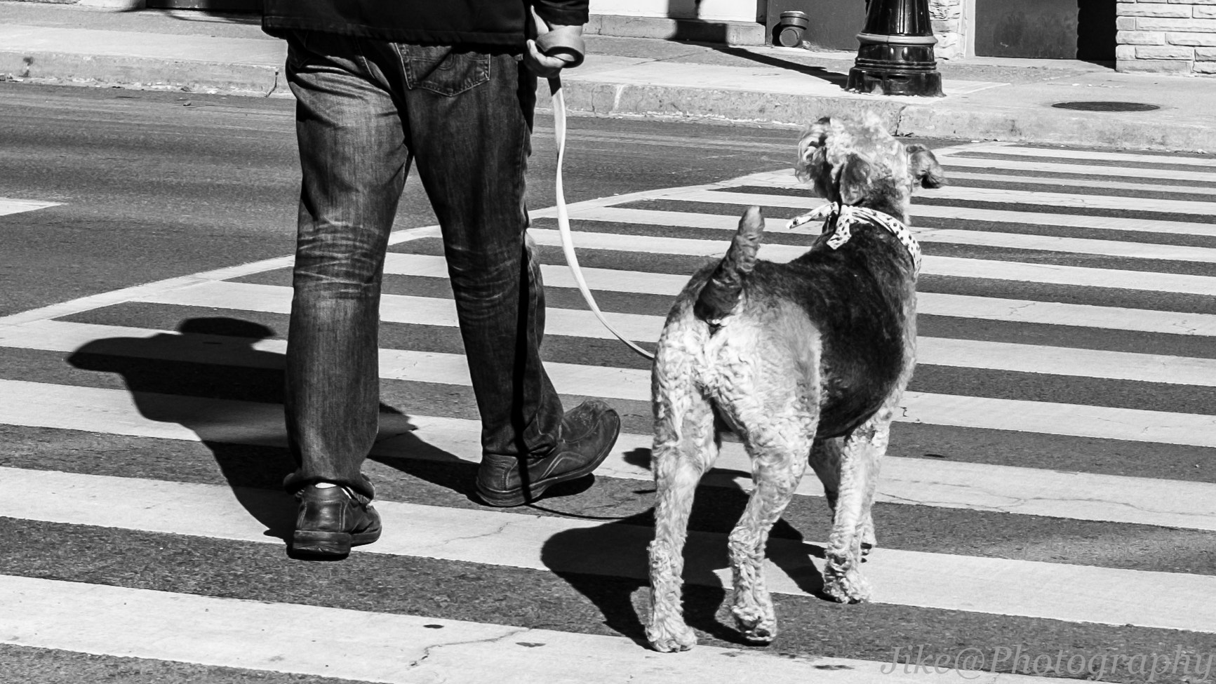 Fujifilm X-T1 sample photo. Cross the street photography