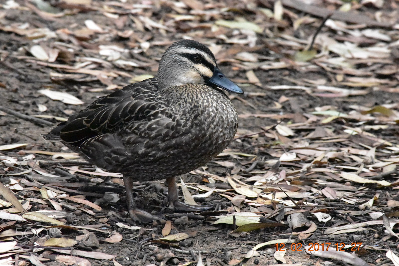 Nikon D3400 sample photo. () photography