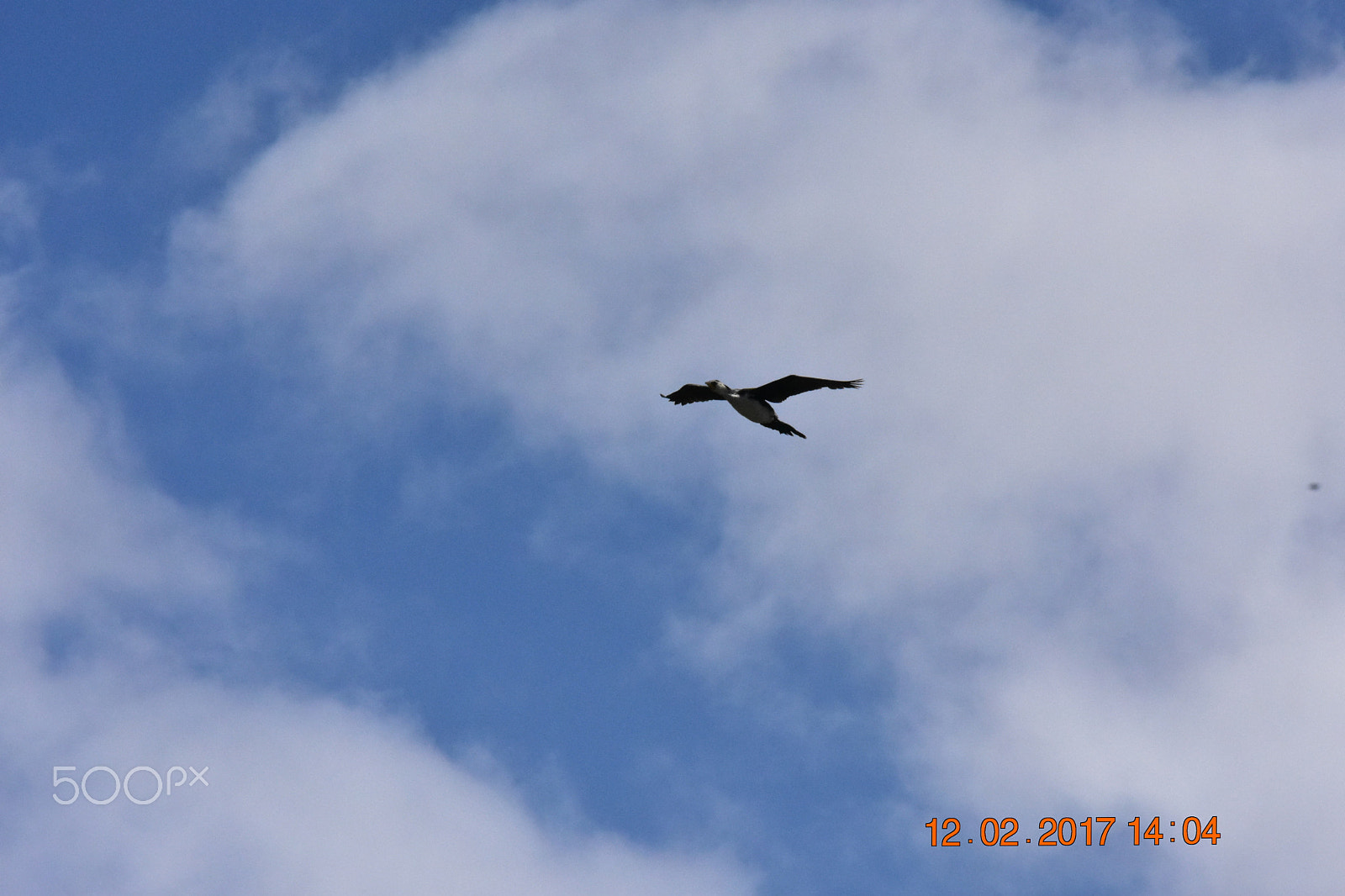 Nikon D3400 sample photo. Dsc photography