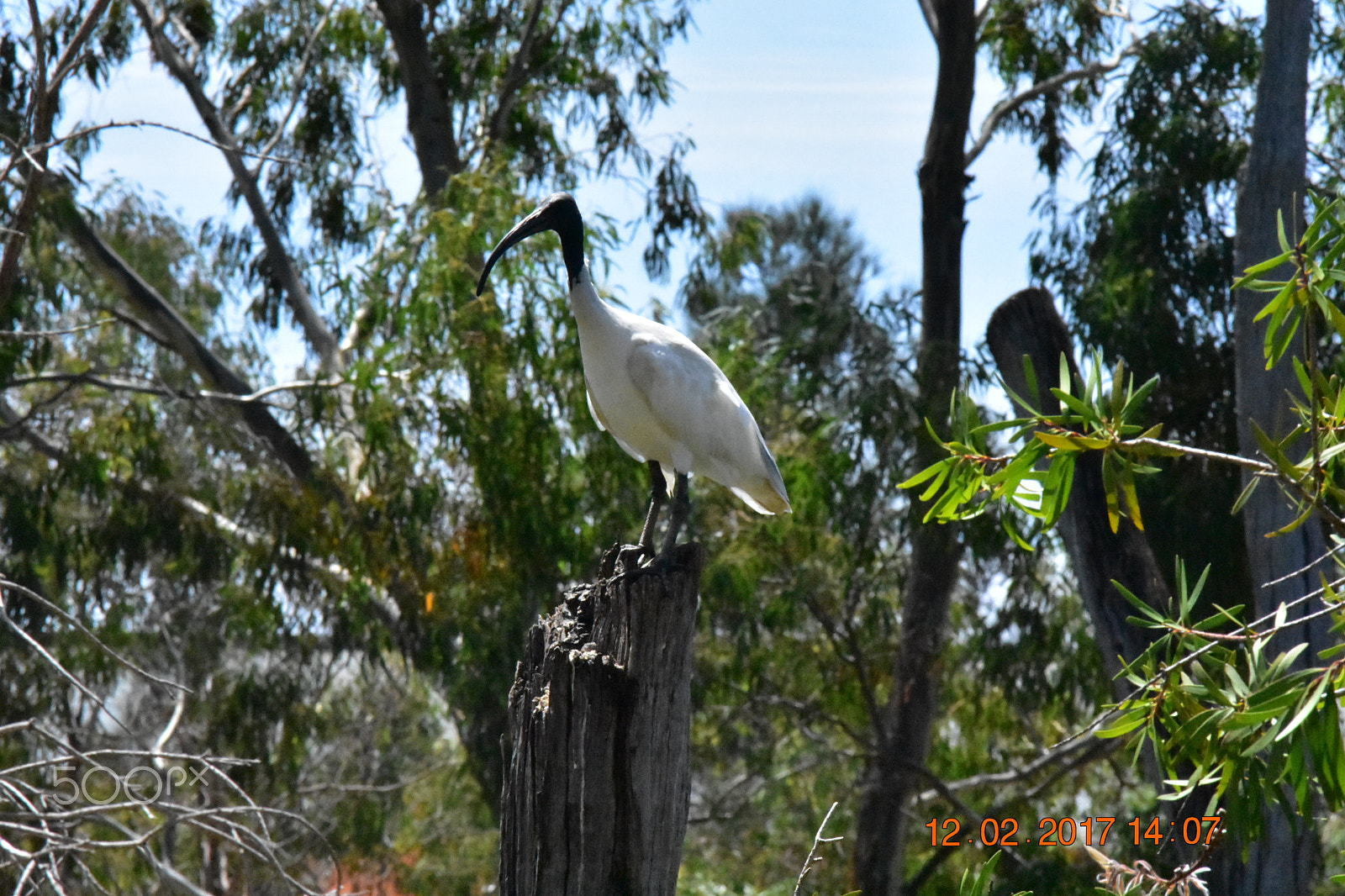 Nikon D3400 sample photo. Dsc photography