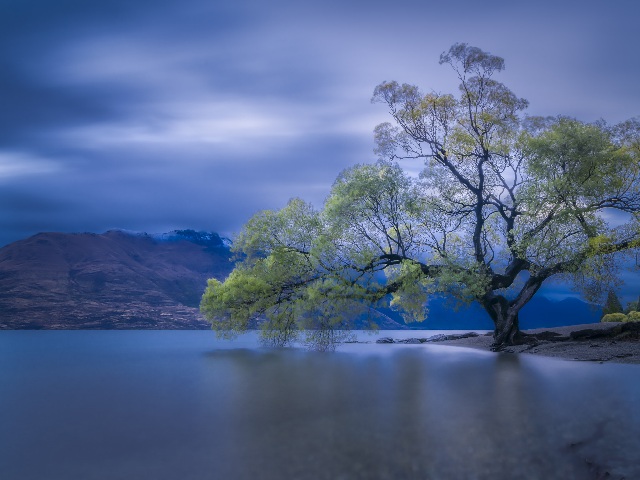 Pentax 645Z sample photo. Queenstown tree after sunset photography