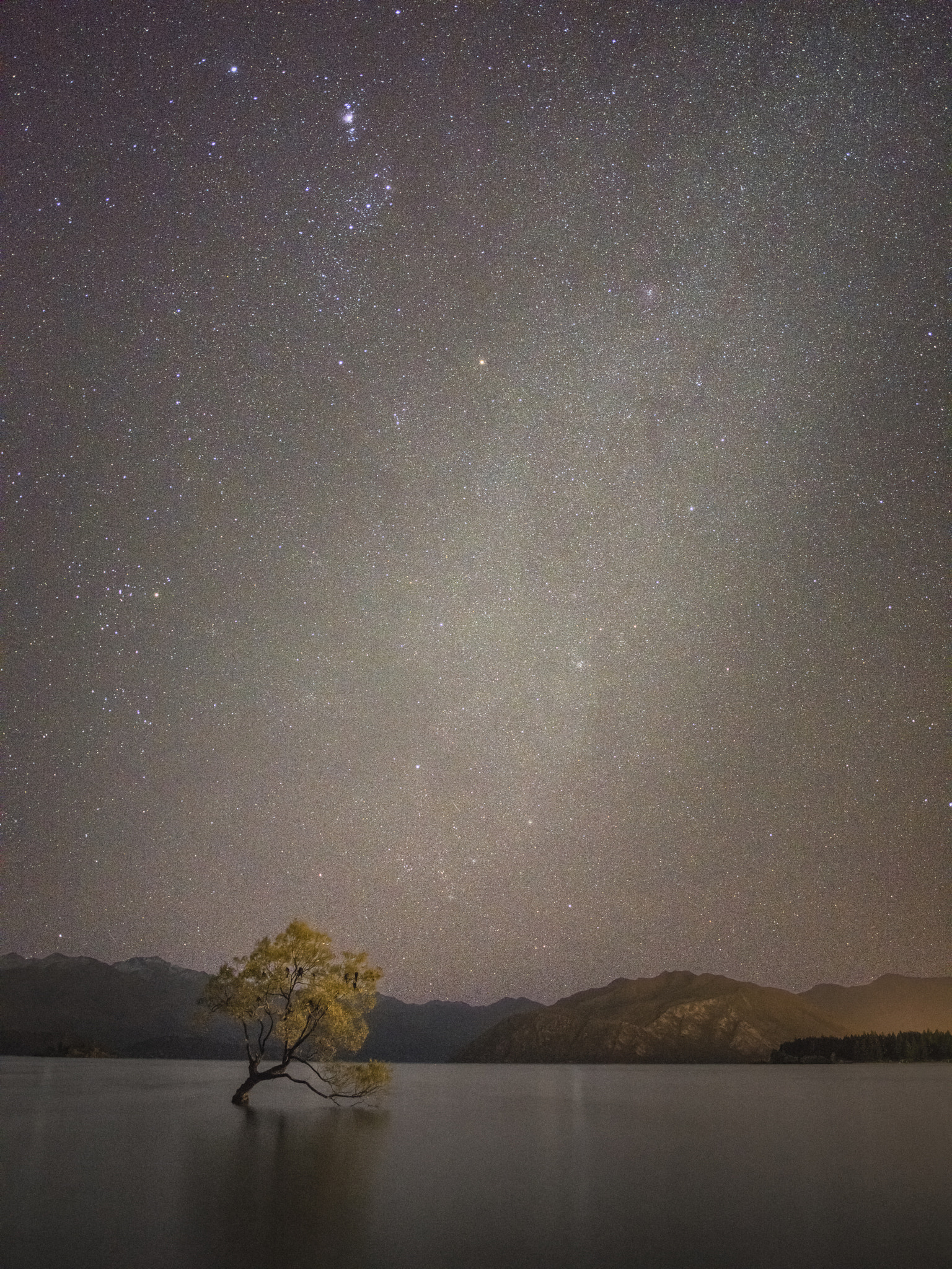 Pentax 645Z + smc PENTAX-FA 645 35mm F3.5 AL [IF] sample photo. Wanaka tree and milky way photography