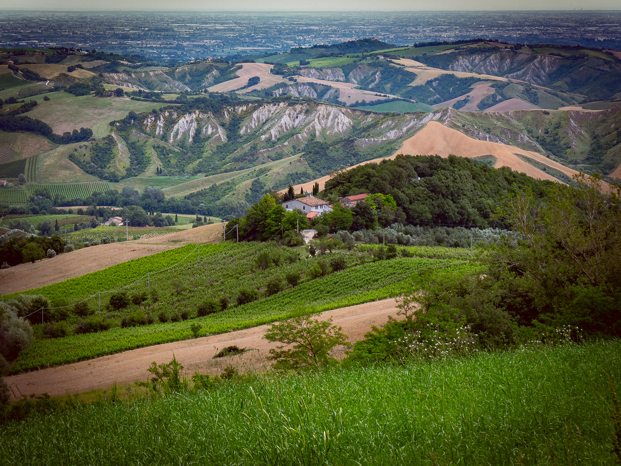 Panasonic Lumix DMC-G6 sample photo. View from trebbio photography