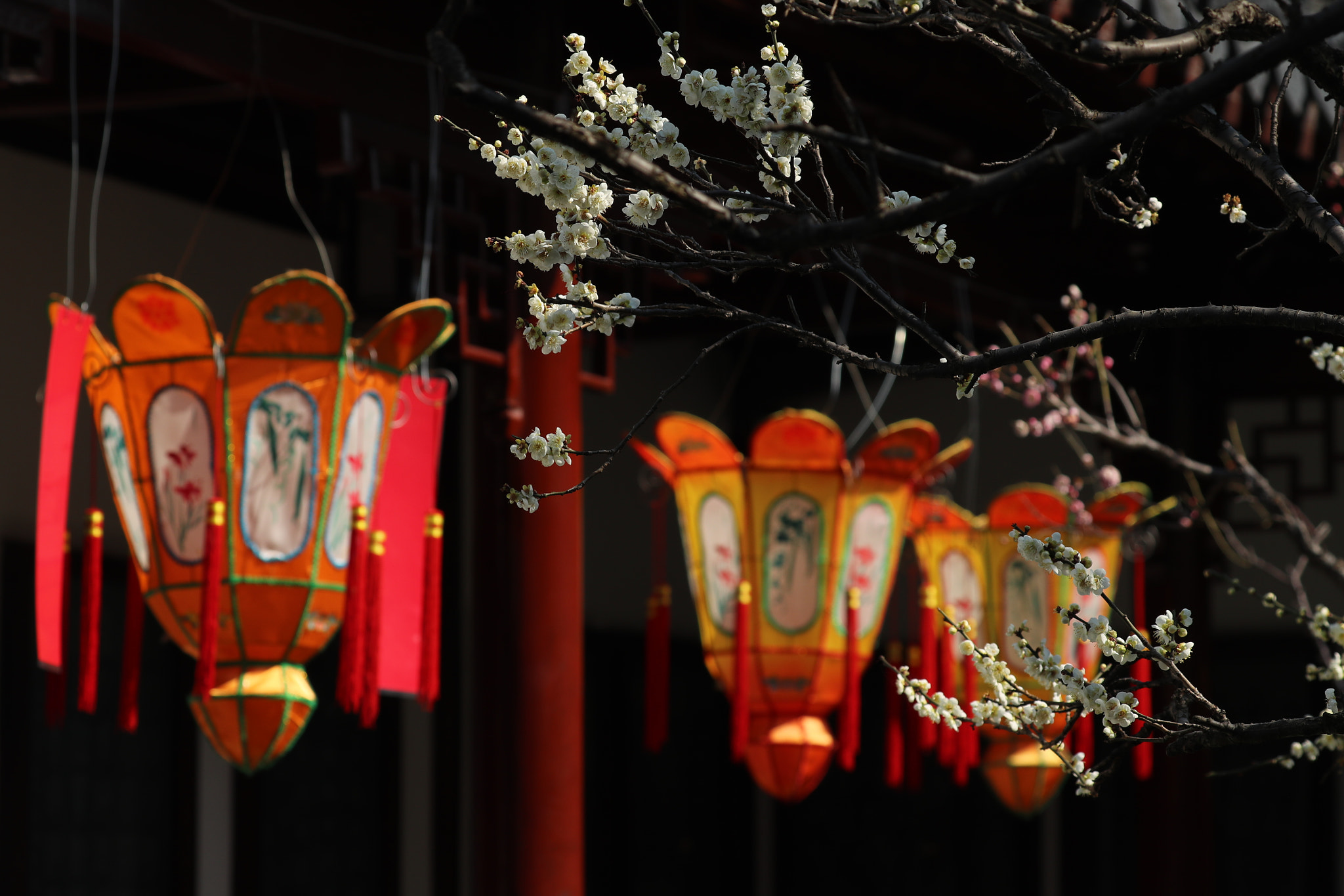 Canon EOS-1D X Mark II sample photo