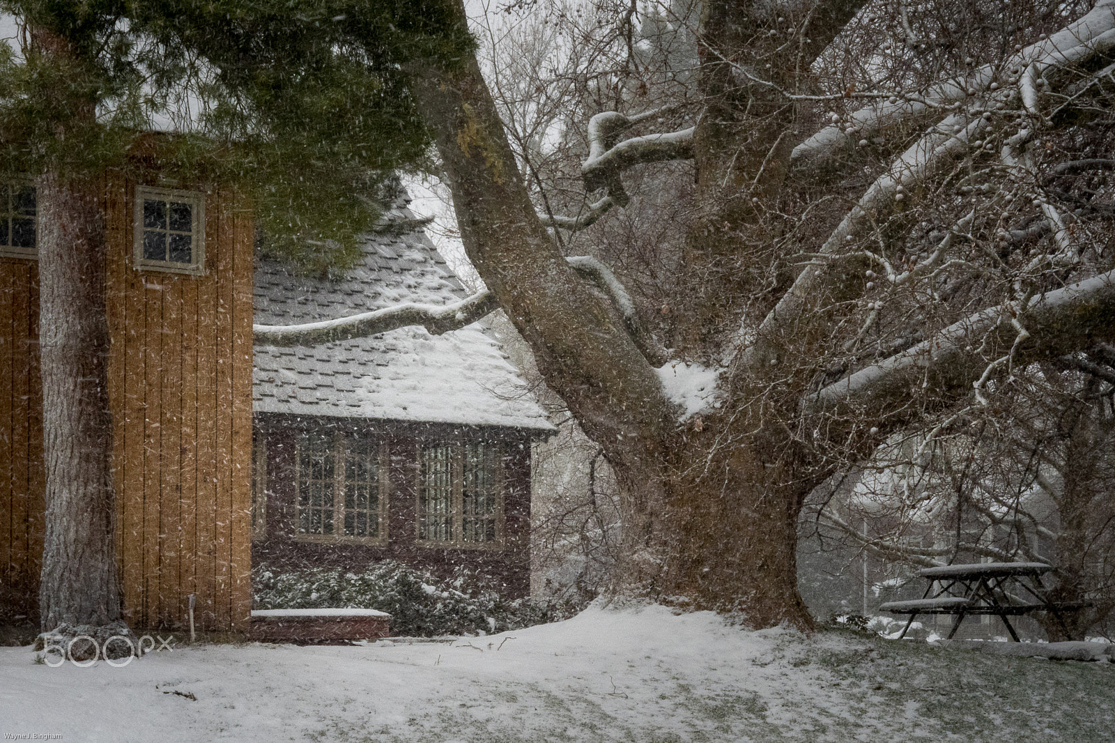 OLYMPUS M.14-150mm F4.0-5.6 II sample photo. Snowstorm photography