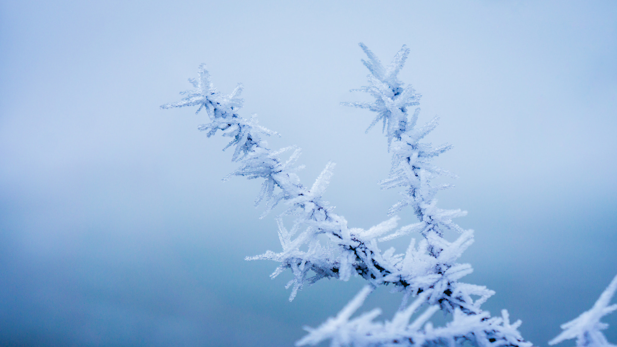 Sony Alpha NEX-7 + Sony E 18-55mm F3.5-5.6 OSS sample photo. Icy spikes photography