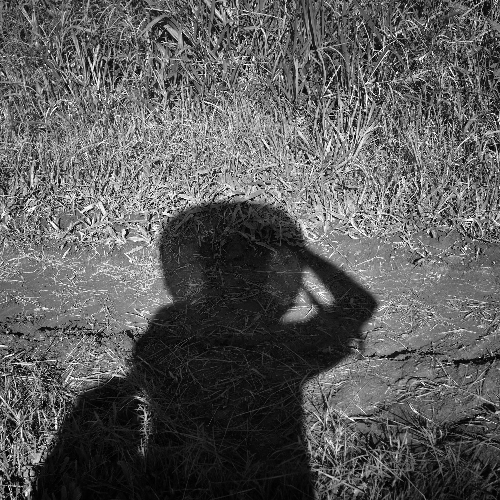Olympus OM-D E-M5 II + Olympus M.Zuiko Digital 25mm F1.8 sample photo. Jardinagem self portrait photography