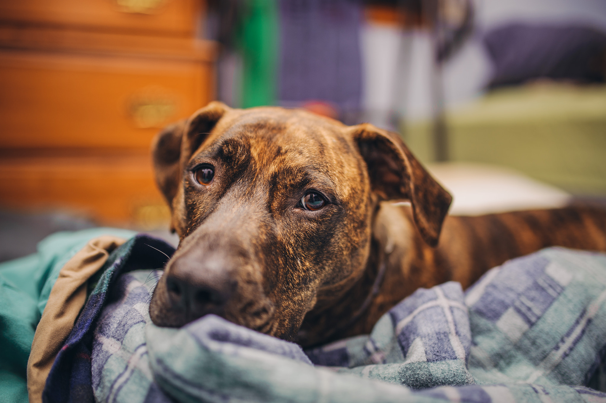 Nikon D700 + Sigma 35mm F1.4 DG HSM Art sample photo. Goodnight world! photography