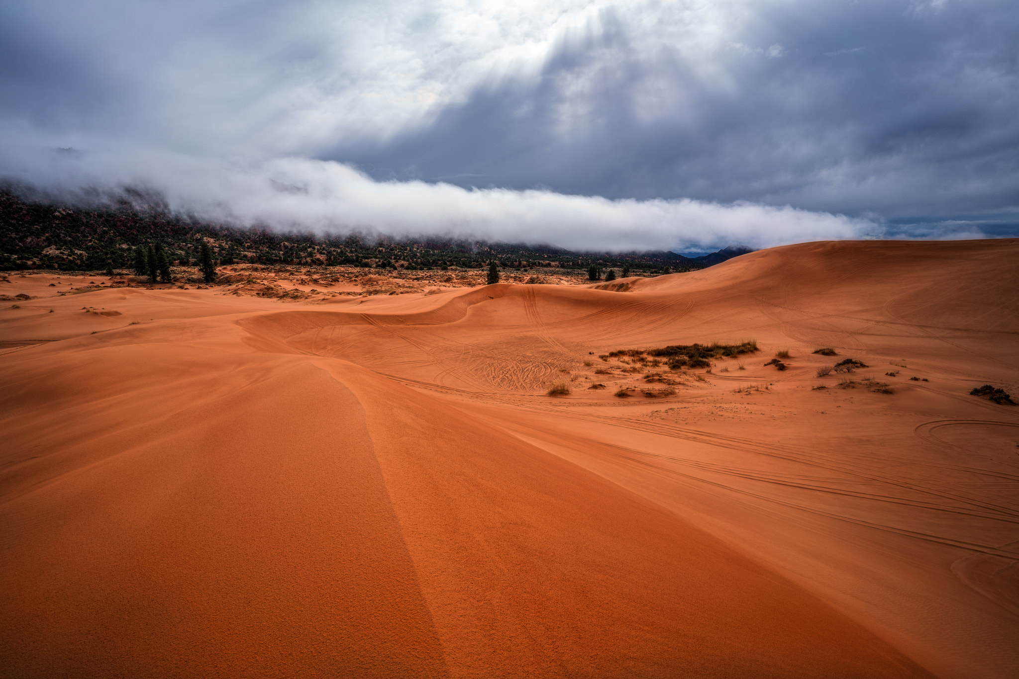 ZEISS Batis 18mm F2.8 sample photo. Pink dunes photography
