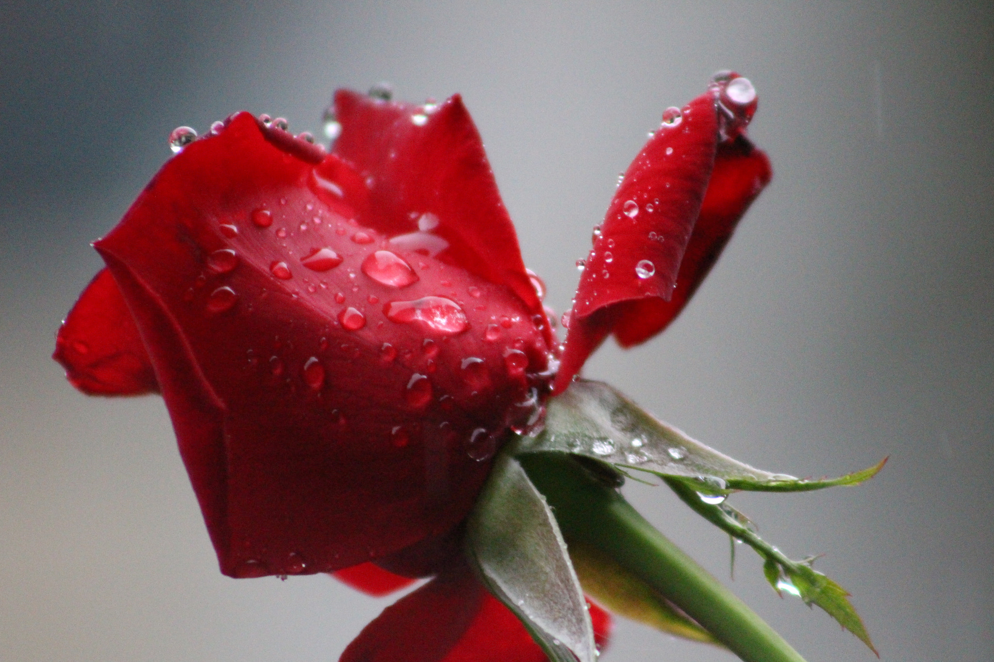 EF75-300mm f/4-5.6 sample photo. Casa photography