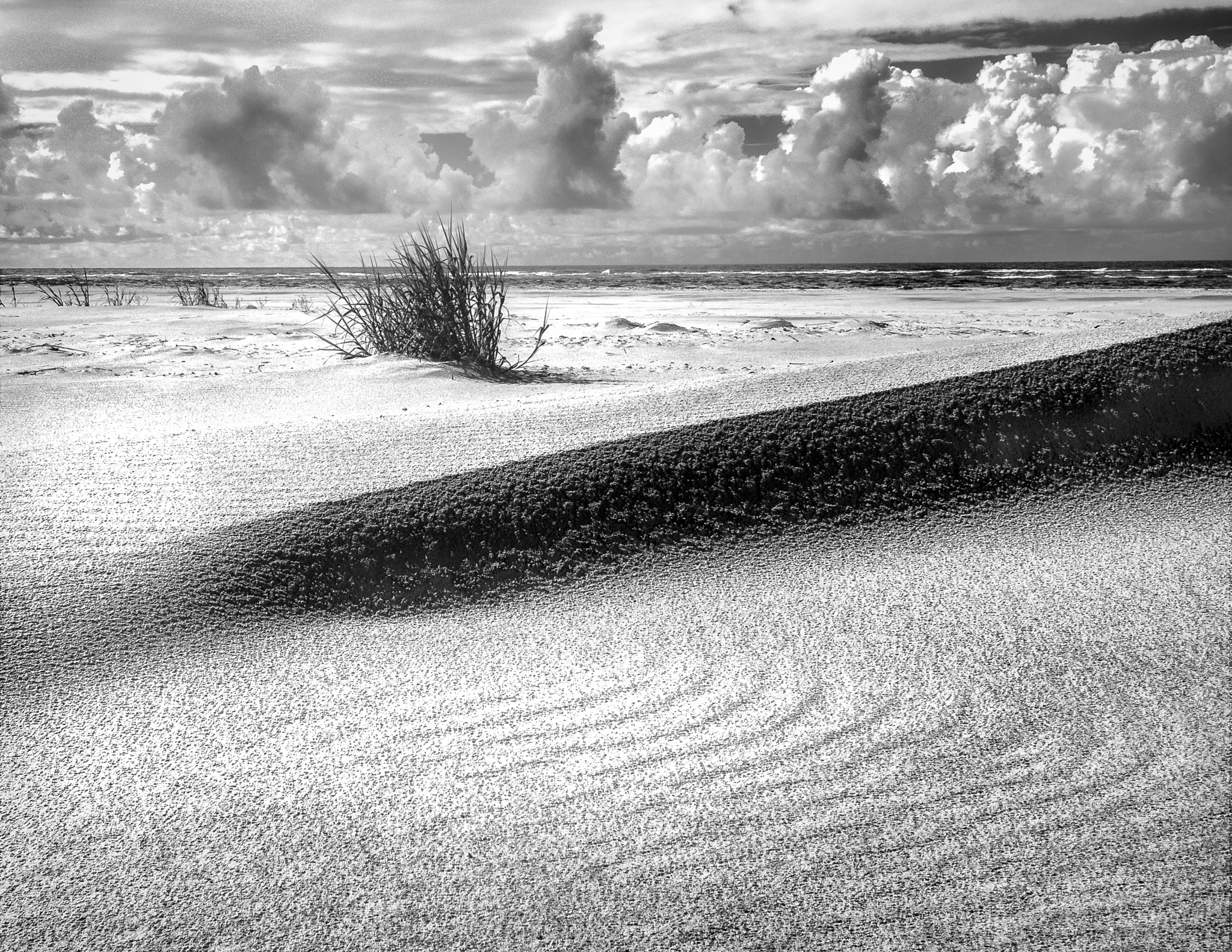 Nikon D300S sample photo. "midday, topsail point" photography