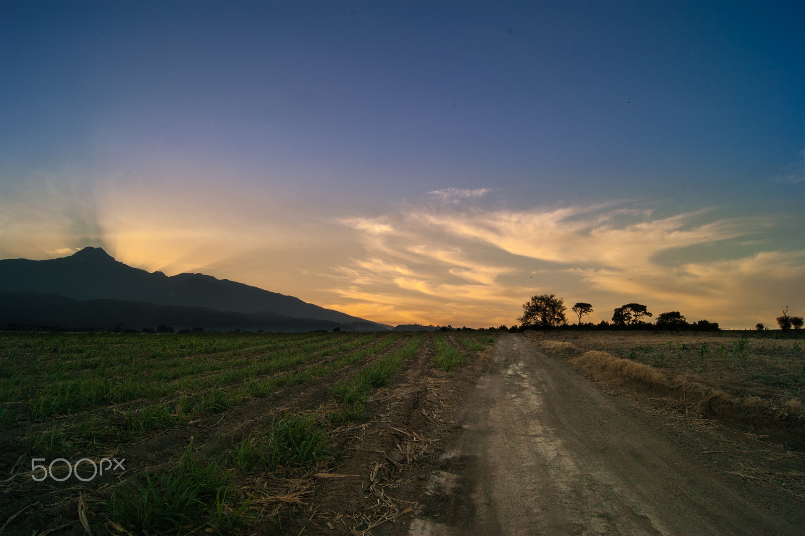 Sony Alpha DSLR-A380 + Sony DT 18-55mm F3.5-5.6 SAM sample photo. Road to the clouds photography