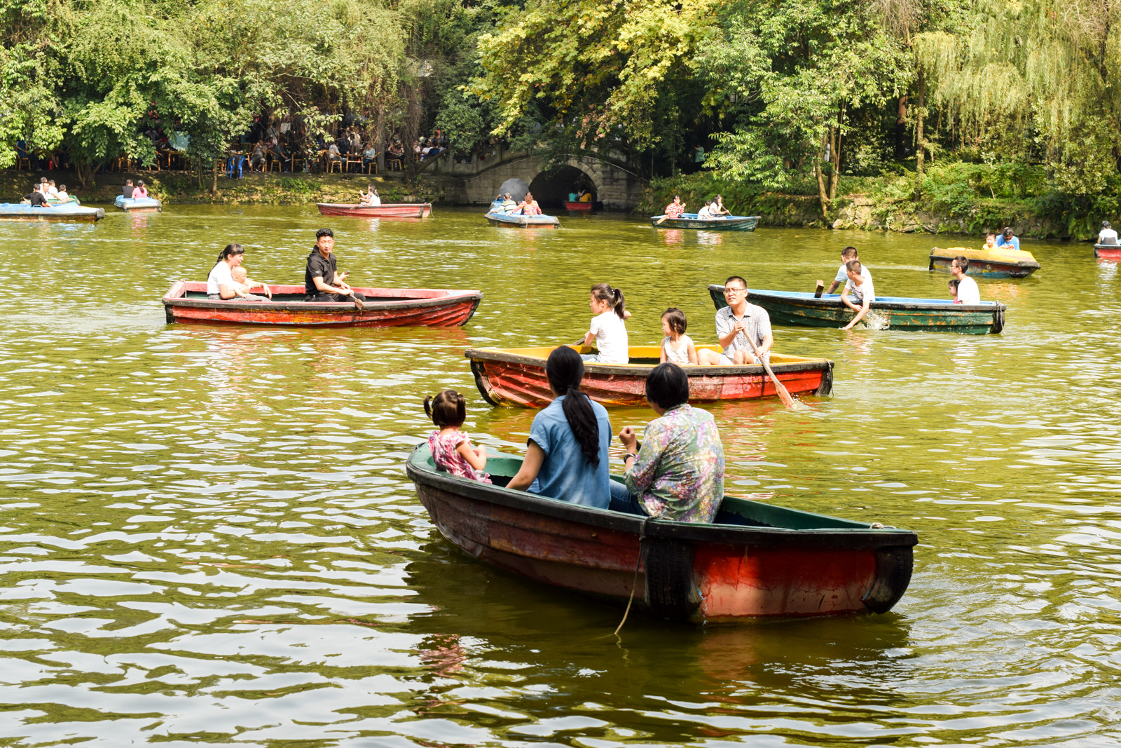 Nikon D3300 + Nikon AF-S Nikkor 50mm F1.4G sample photo. Rowing in murky waters photography