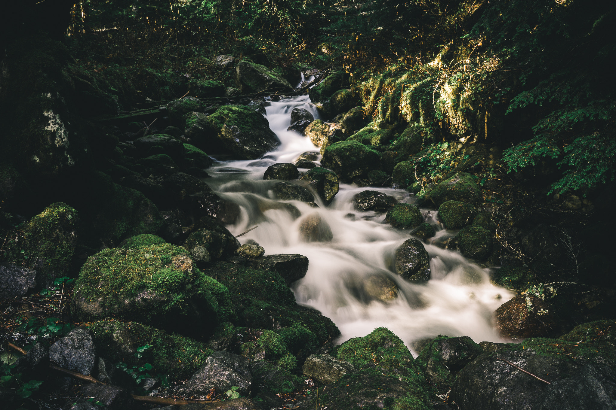 Sony a7 + Sony FE 28mm F2 sample photo. Cascadia photography