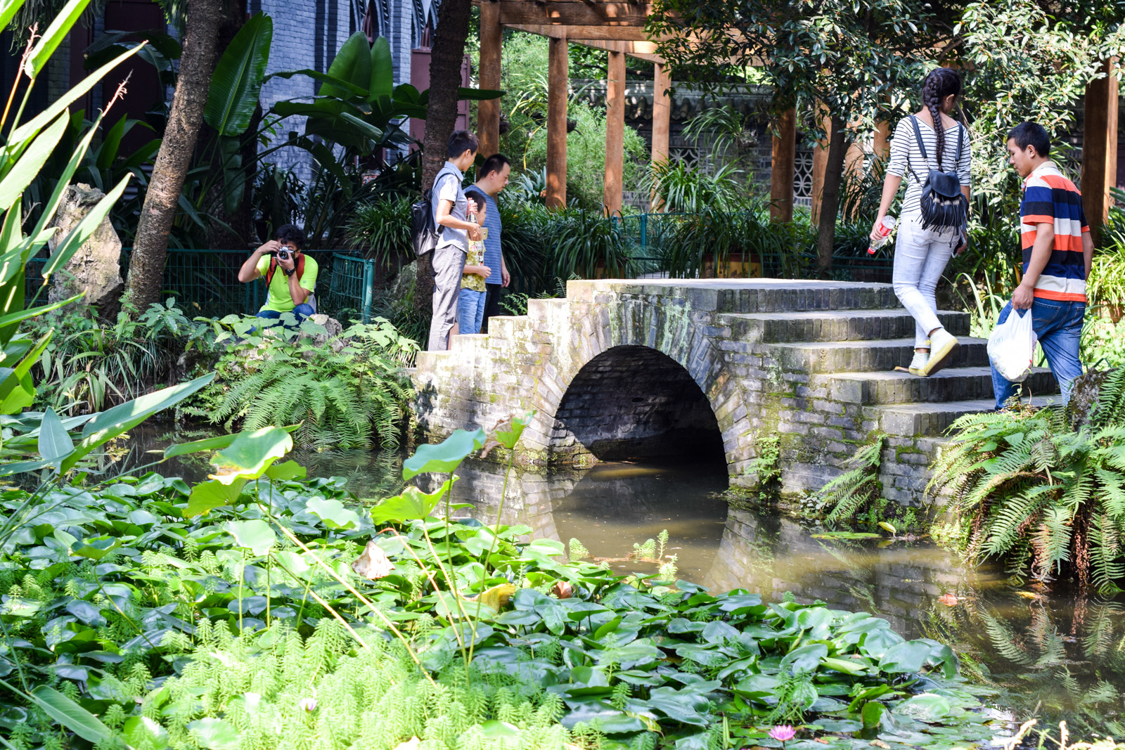 Nikon D3300 + Nikon AF-S Nikkor 50mm F1.4G sample photo. The people's gardens photography