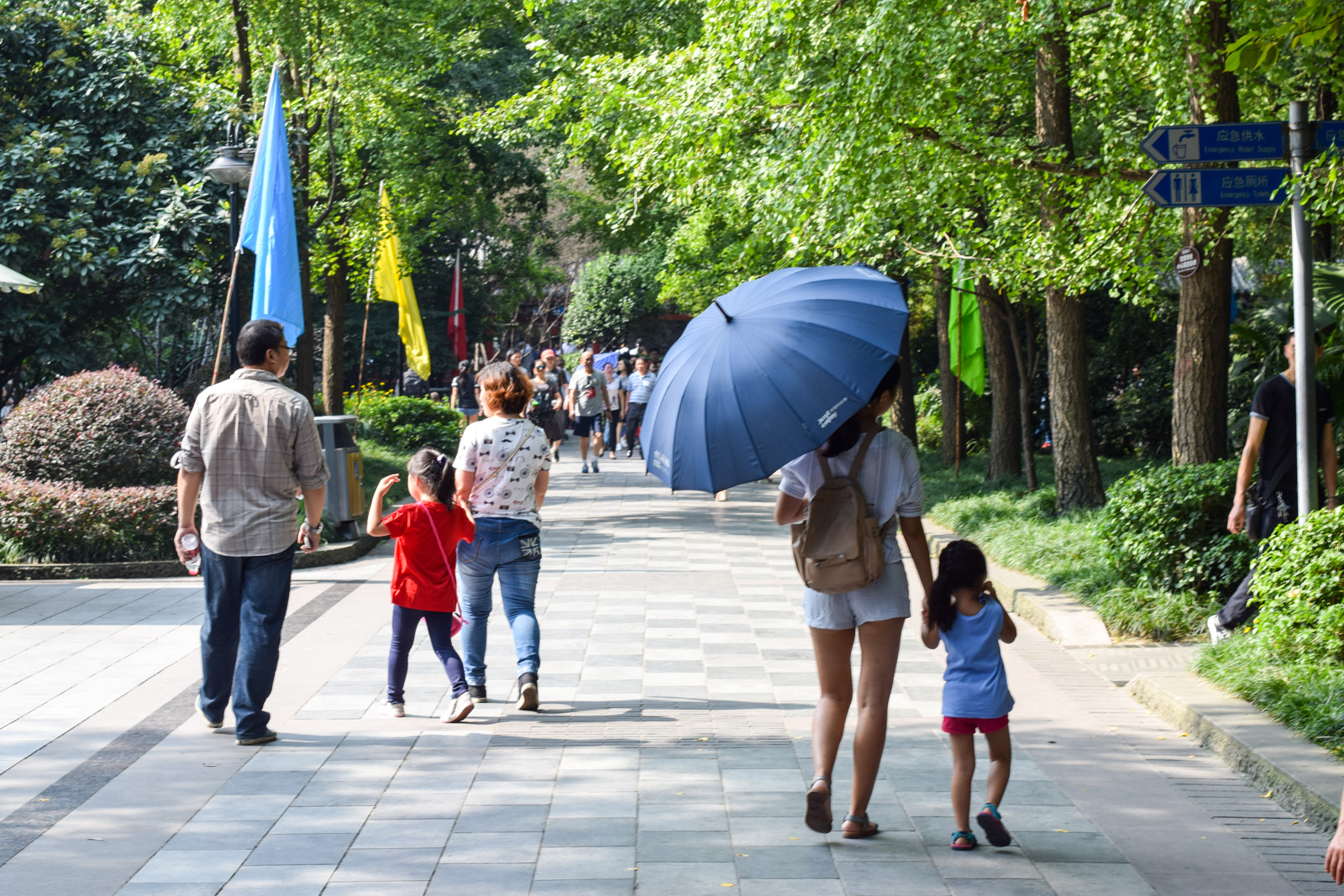 Nikon D3300 + Nikon AF-S Nikkor 50mm F1.4G sample photo. Where's the thunder? photography