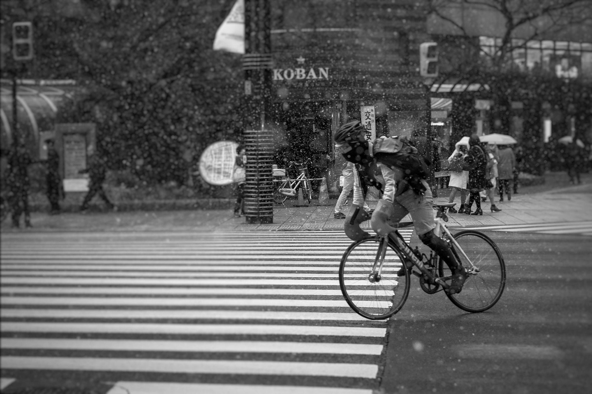 Leica APO-Summicron-M 90mm F2 ASPH sample photo. Polar rush photography