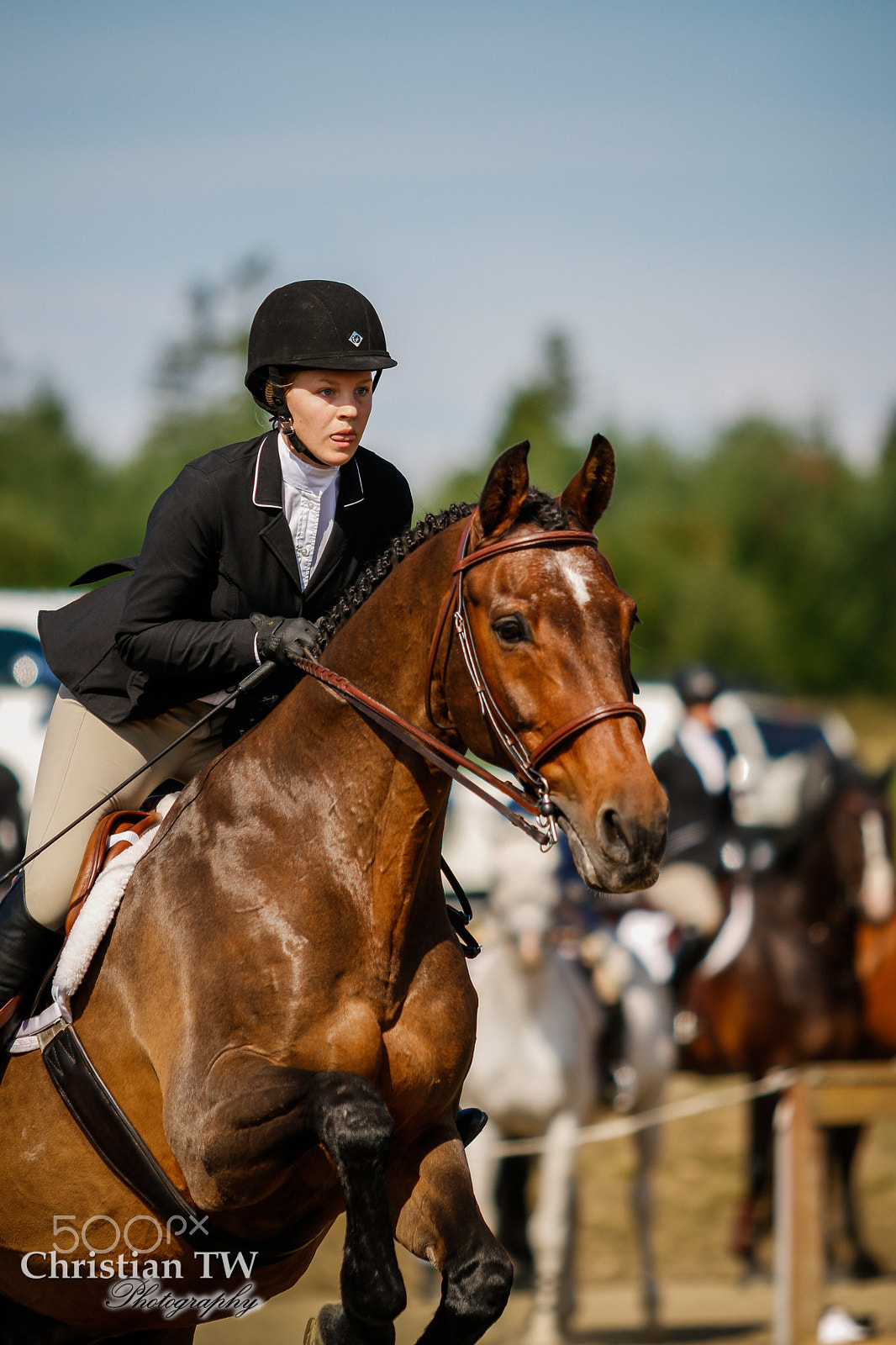 Canon EF 70-200mm F2.8L USM sample photo. Hunter photography