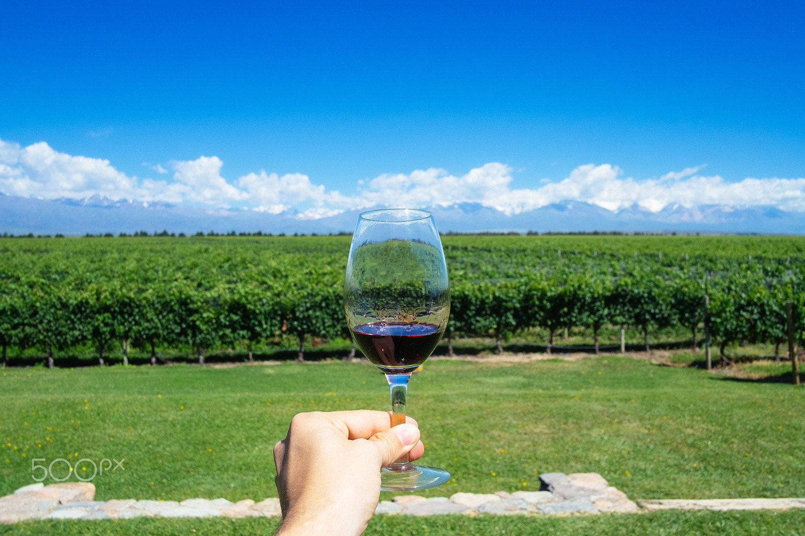 Fujifilm X-E1 sample photo. Hand holding glass of wine with andes in mendoza photography