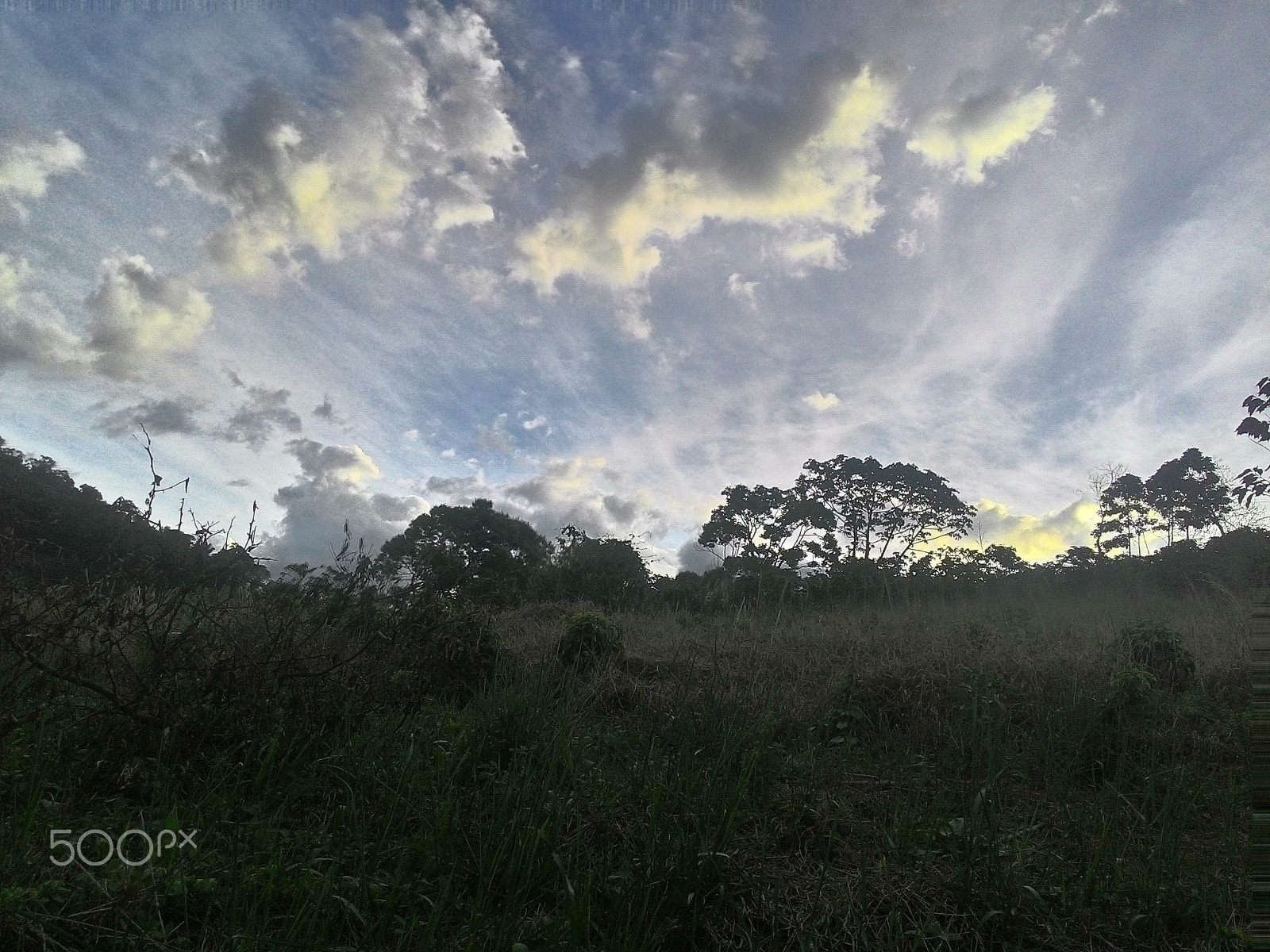 ASUS T00J sample photo. End of day. photography
