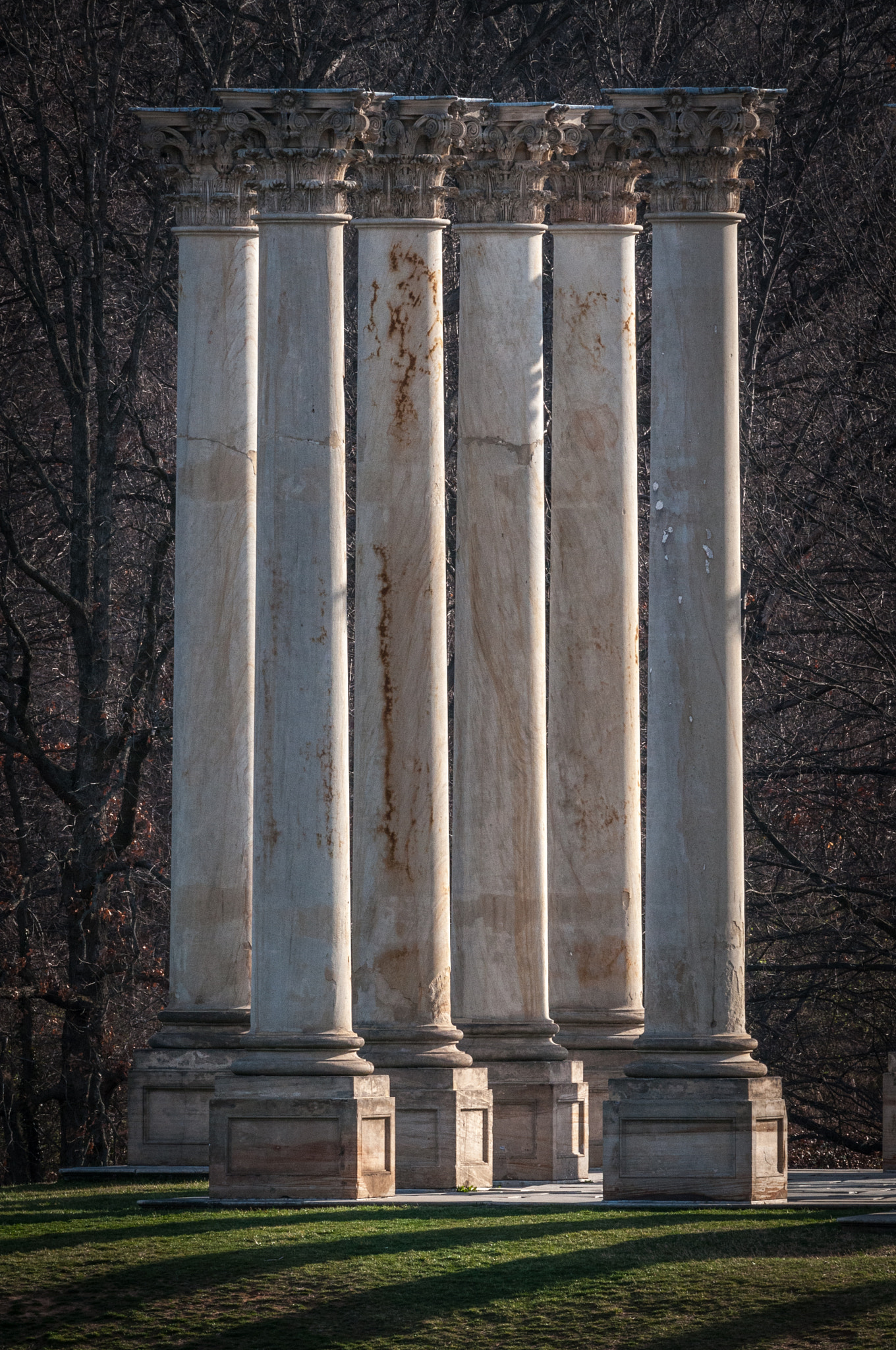 Nikon AF-S Nikkor 200-500mm F5.6E ED VR sample photo. Capitol columns photography