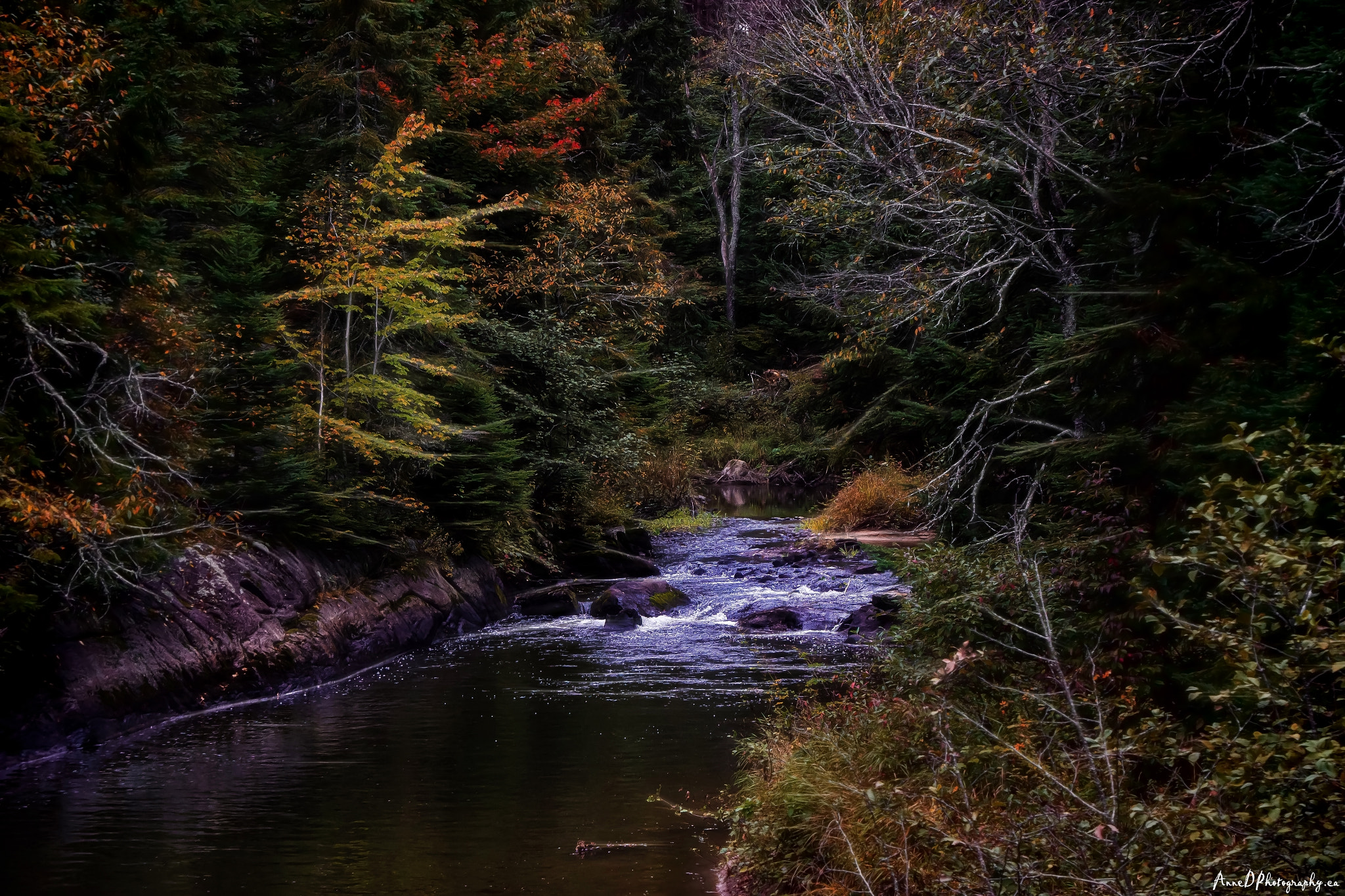 Canon EOS 600D (Rebel EOS T3i / EOS Kiss X5) sample photo. Dreamscape photography