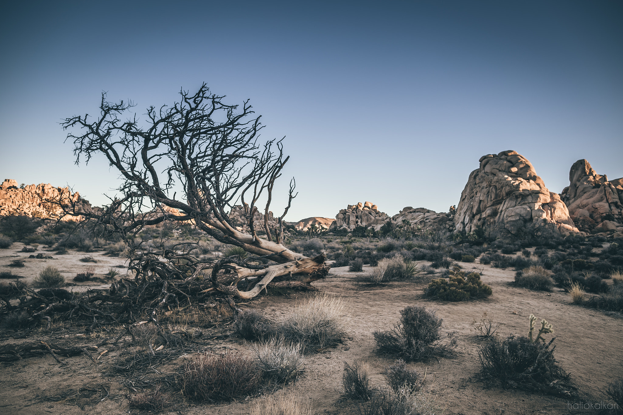 Canon EF 24mm F1.4L II USM sample photo. The curse photography