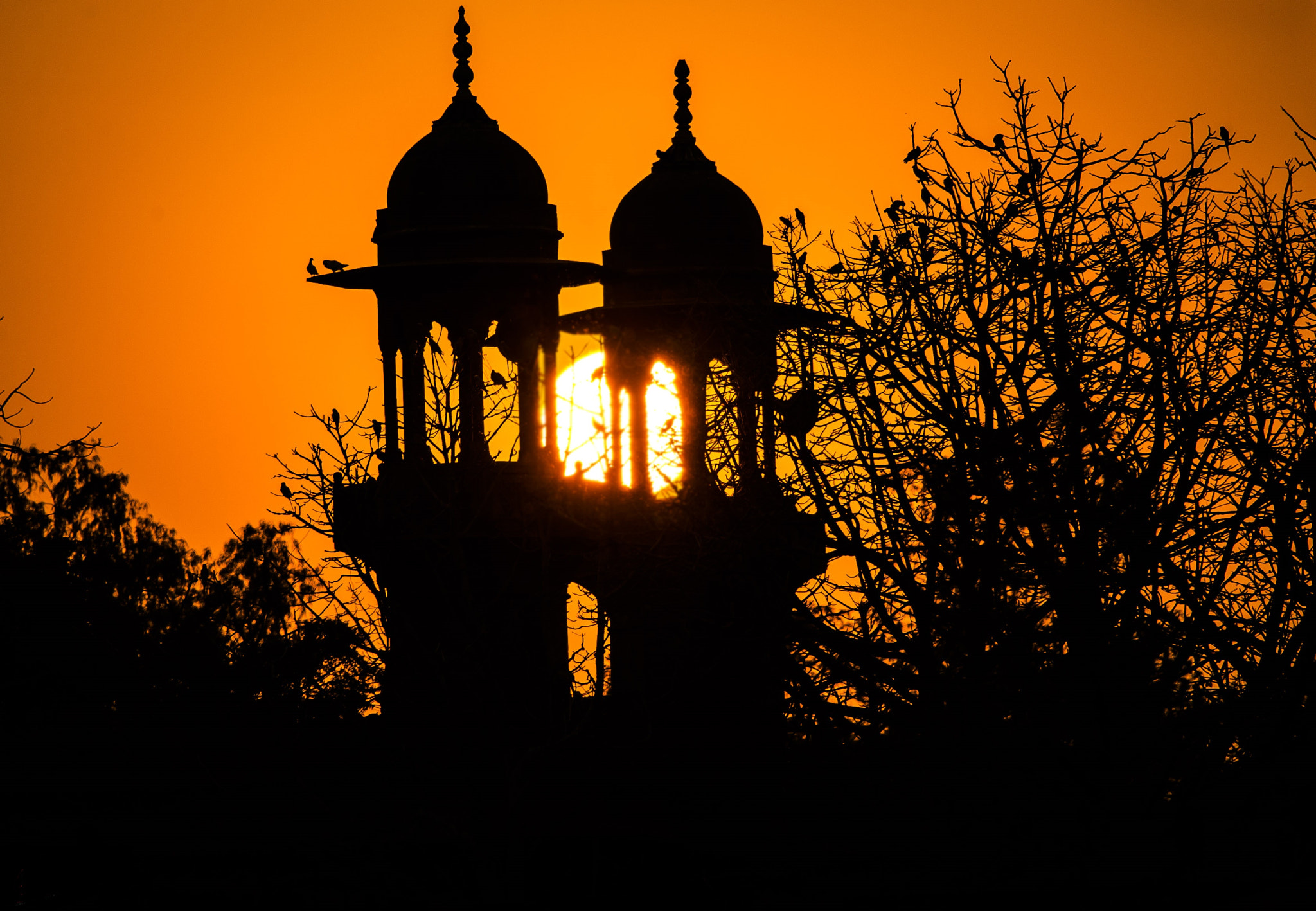 Canon EF 28-300mm F3.5-5.6L IS USM sample photo. Just outside taj mahal photography